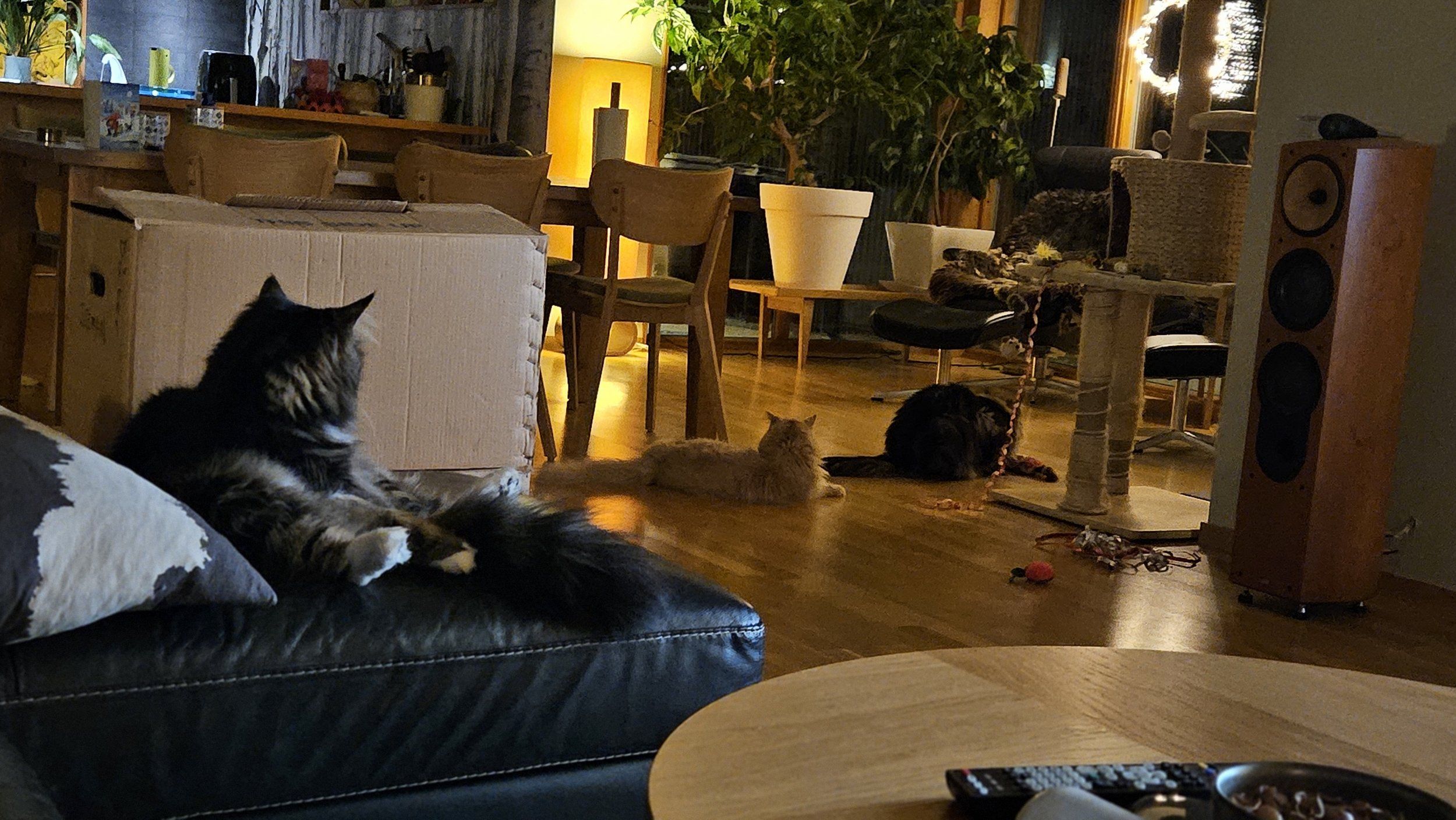 20231231_172012.jpg