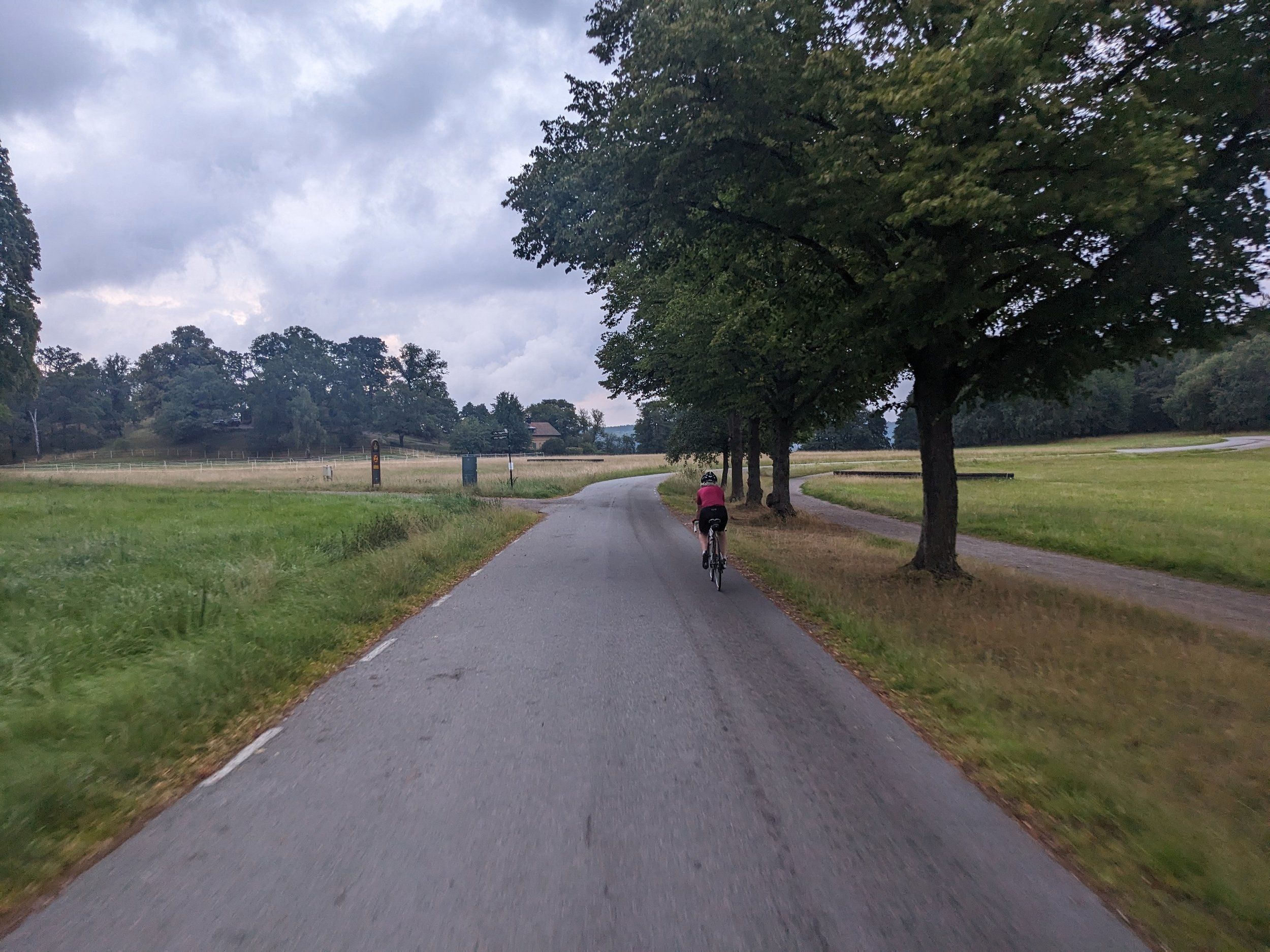 2024-08-08-20-50-30-471.jpg