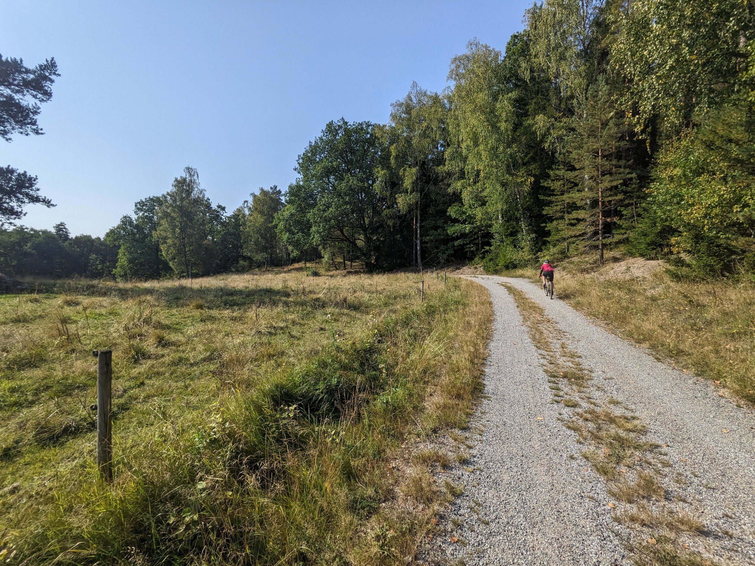 2024-09-07-15-13-01-397.jpg