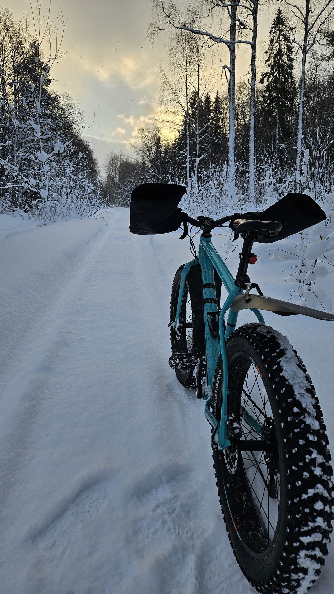 20240104_120610.jpg