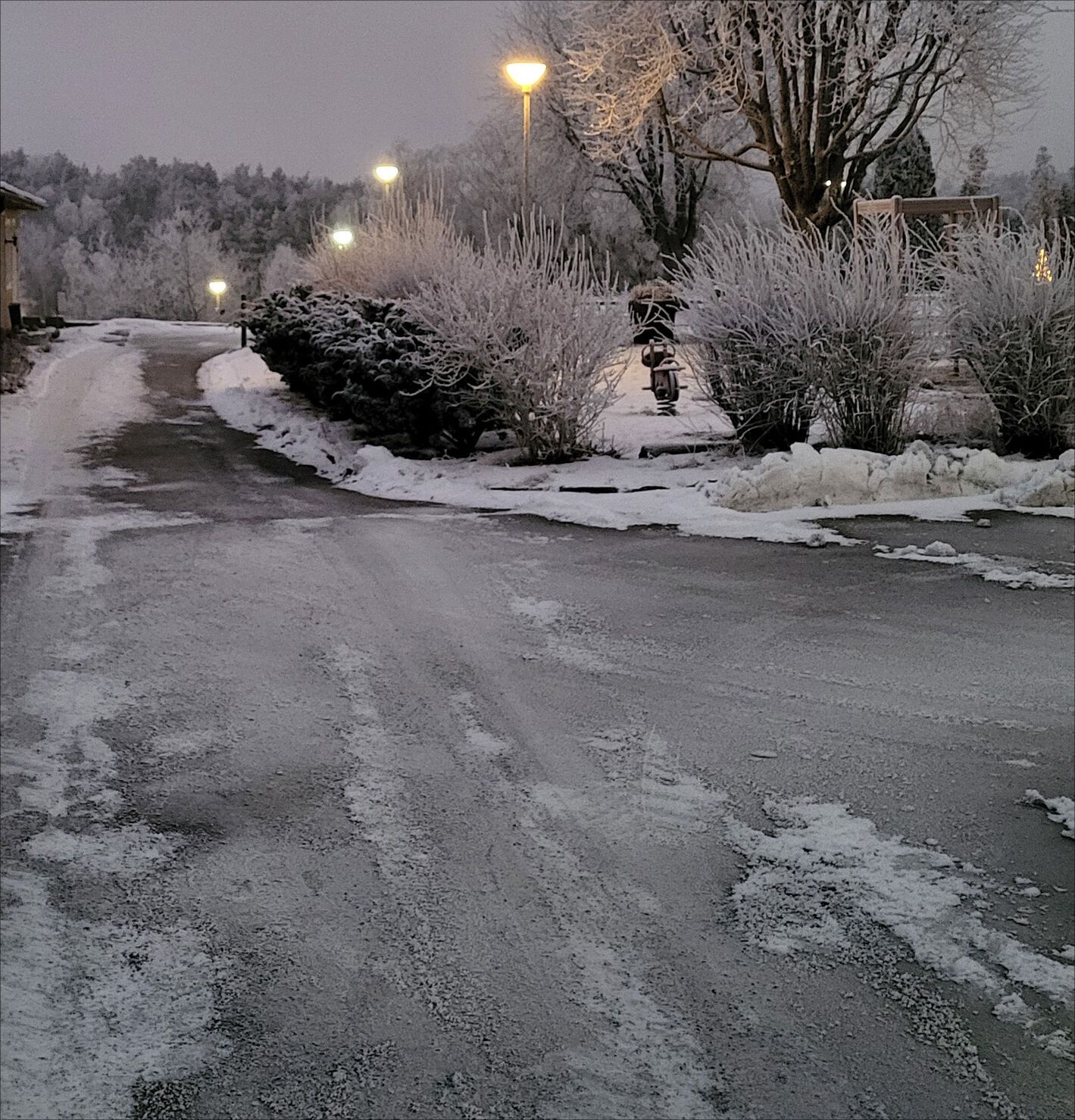 20240108_081237.jpg