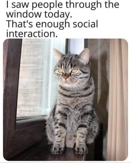 20240202_213836.jpg