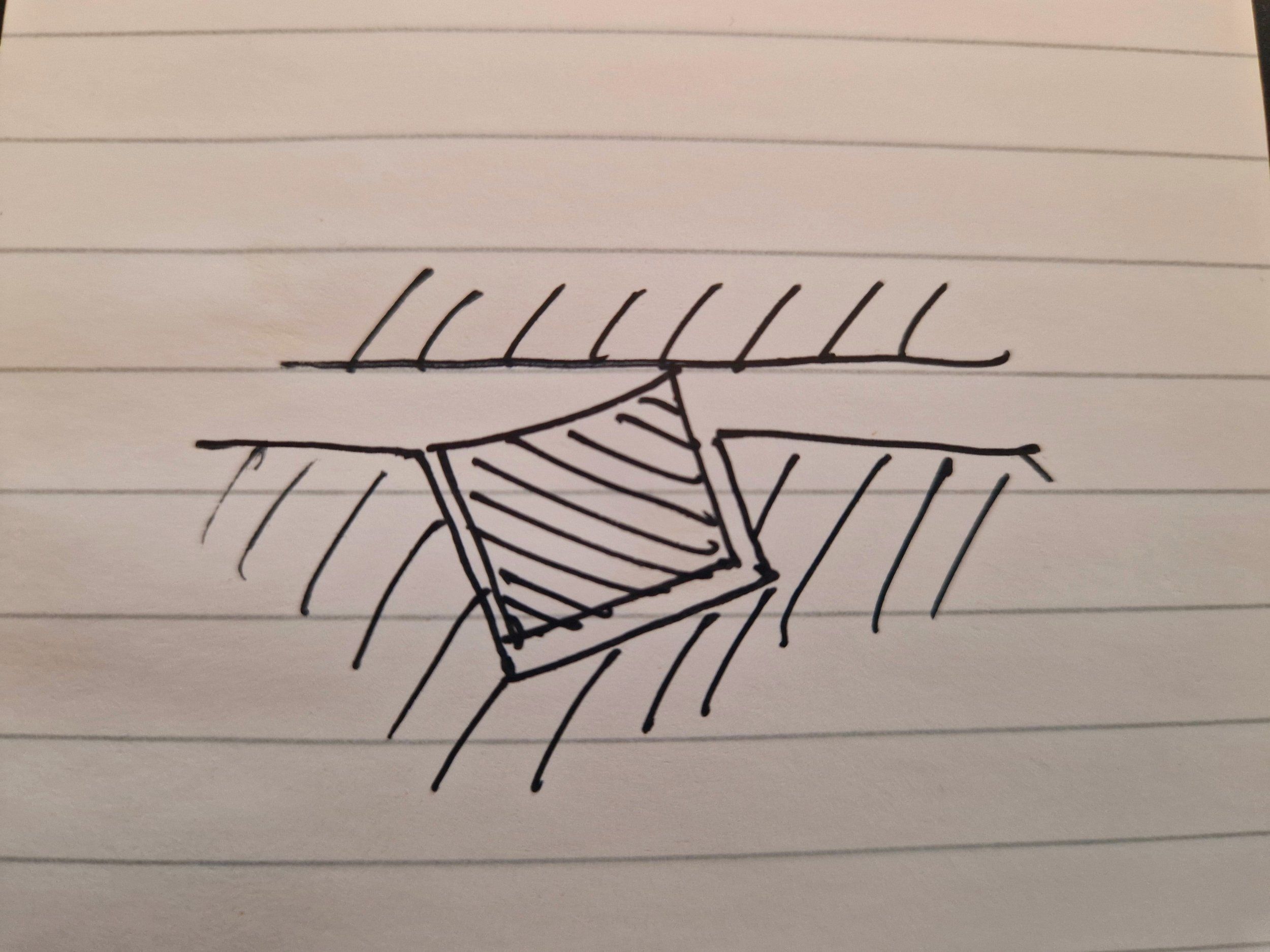 20240229_115115.jpg