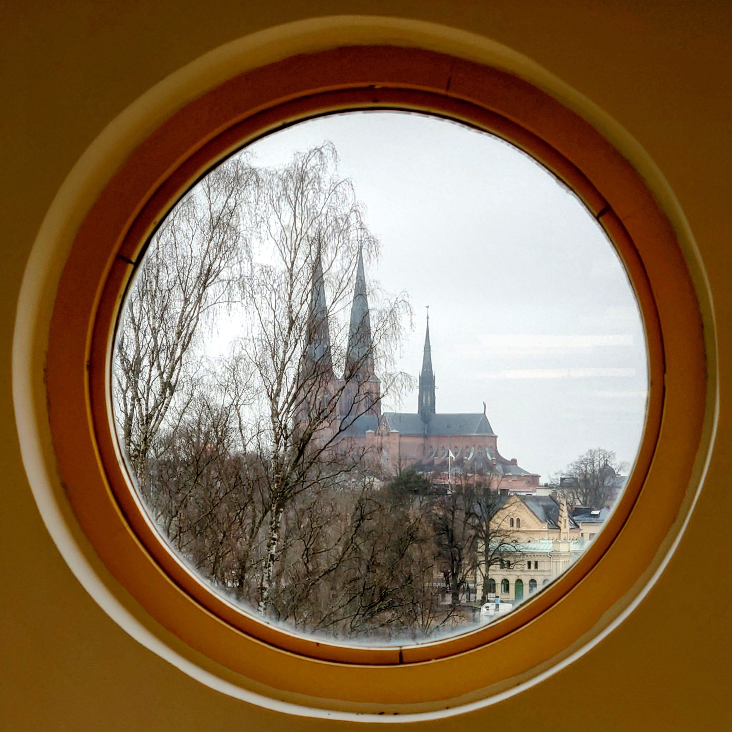 20240313_101423-EDIT.jpg