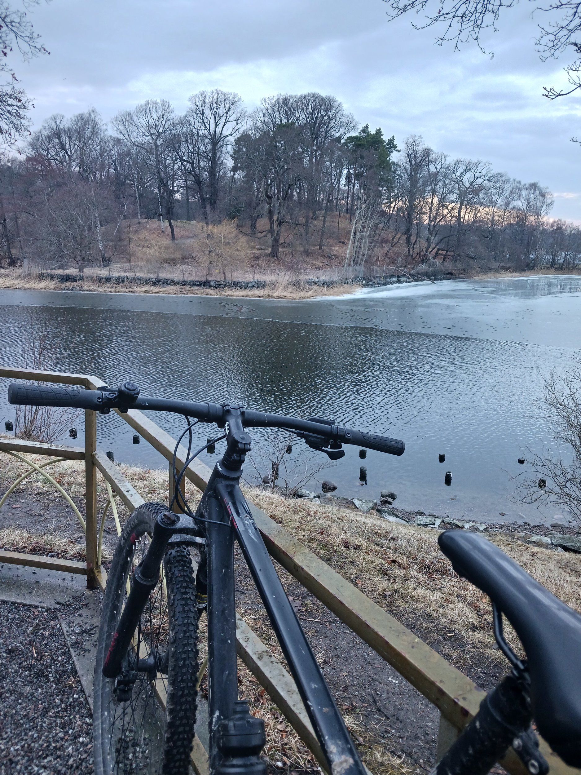 20240315_171256.jpg