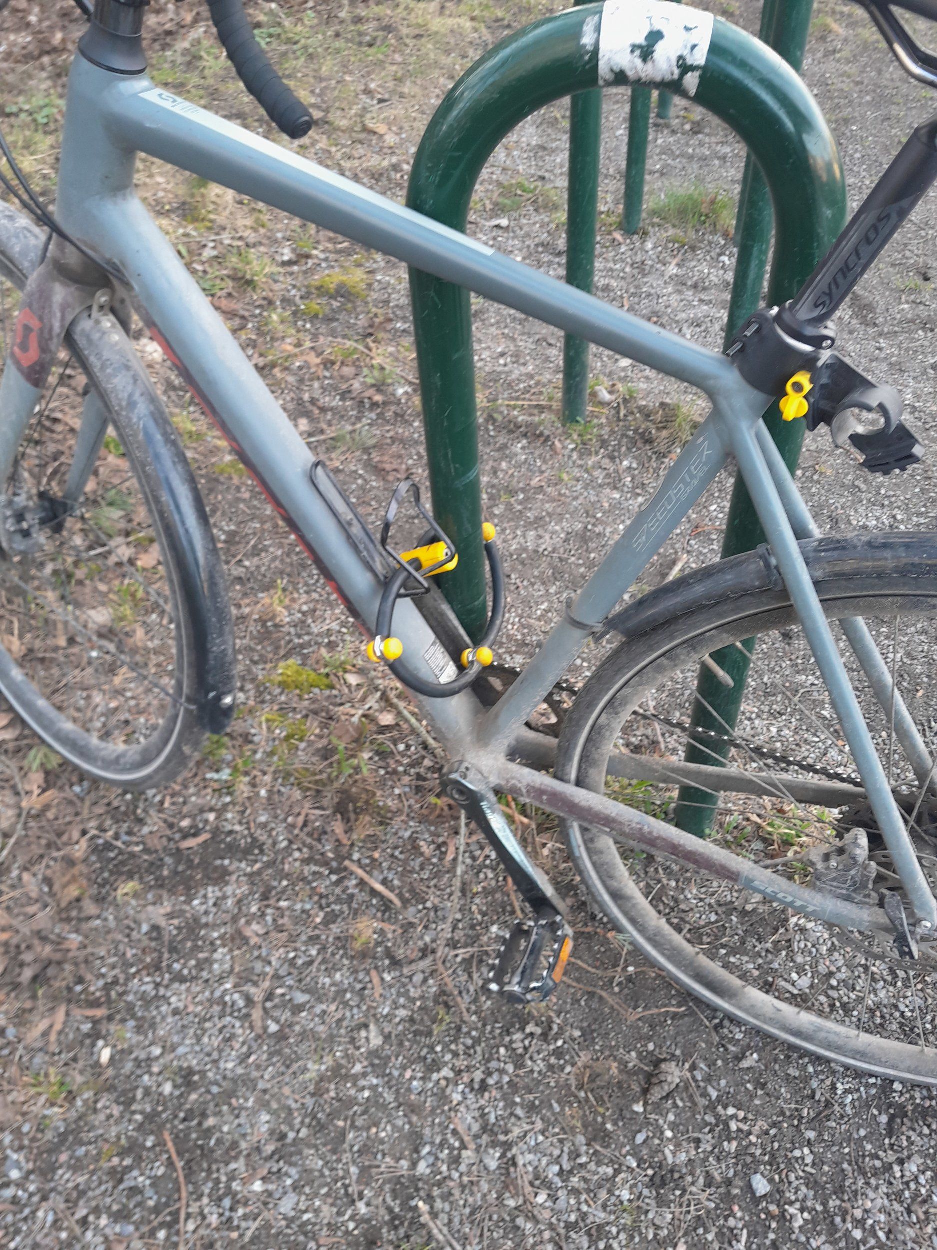 20240408_181244.jpg