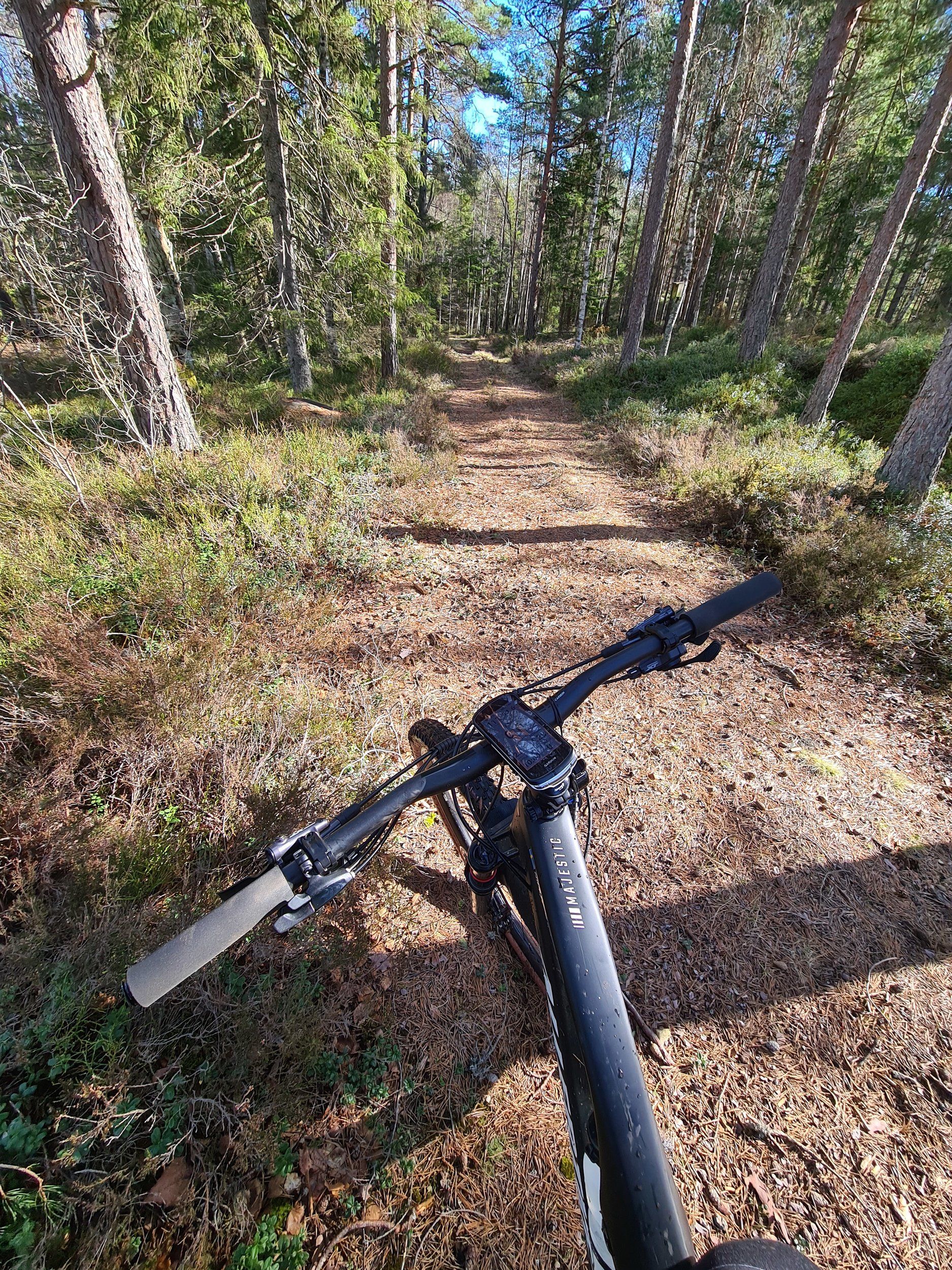 20240414_100025.jpg