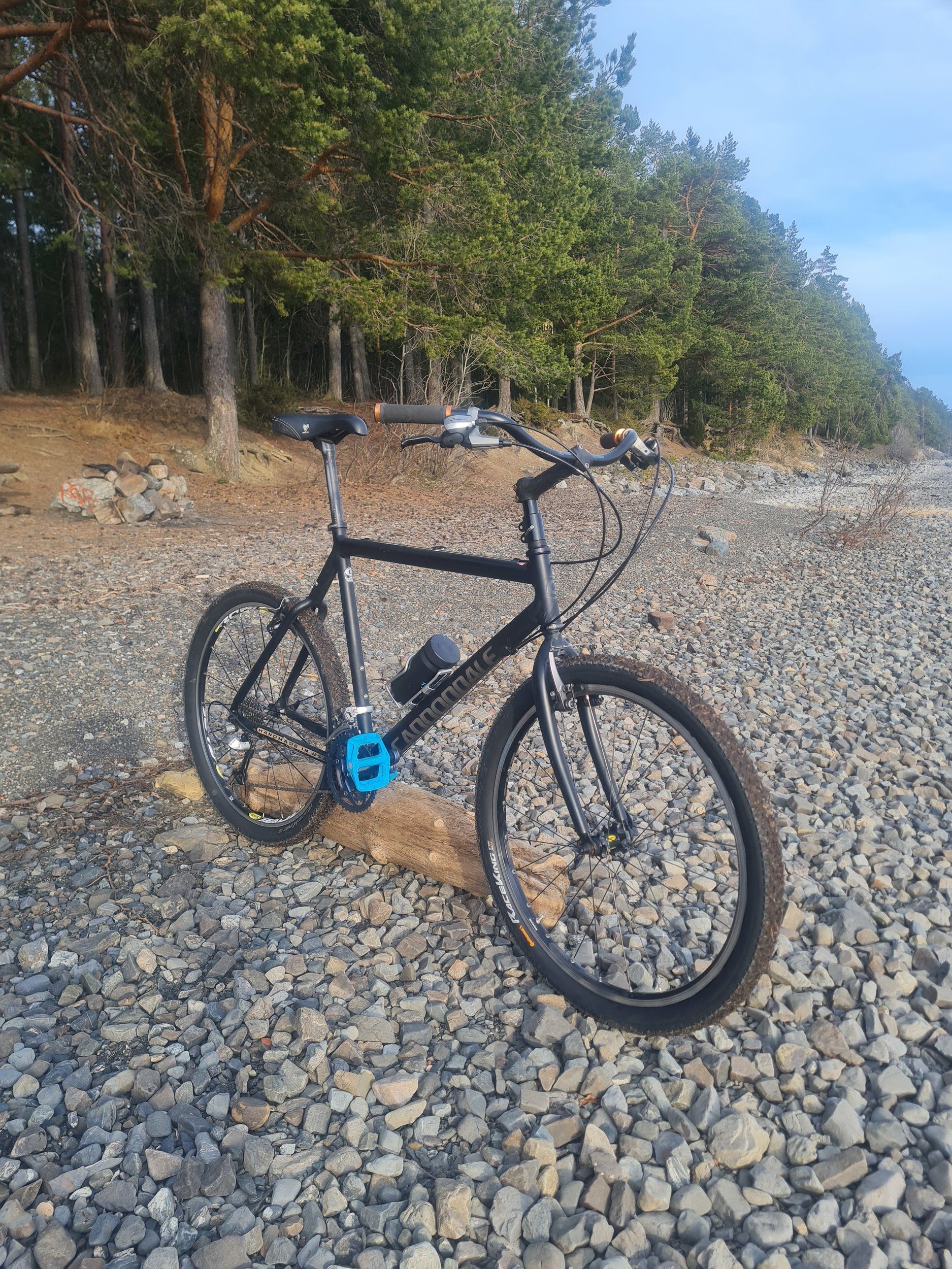 20240420_183117.jpg