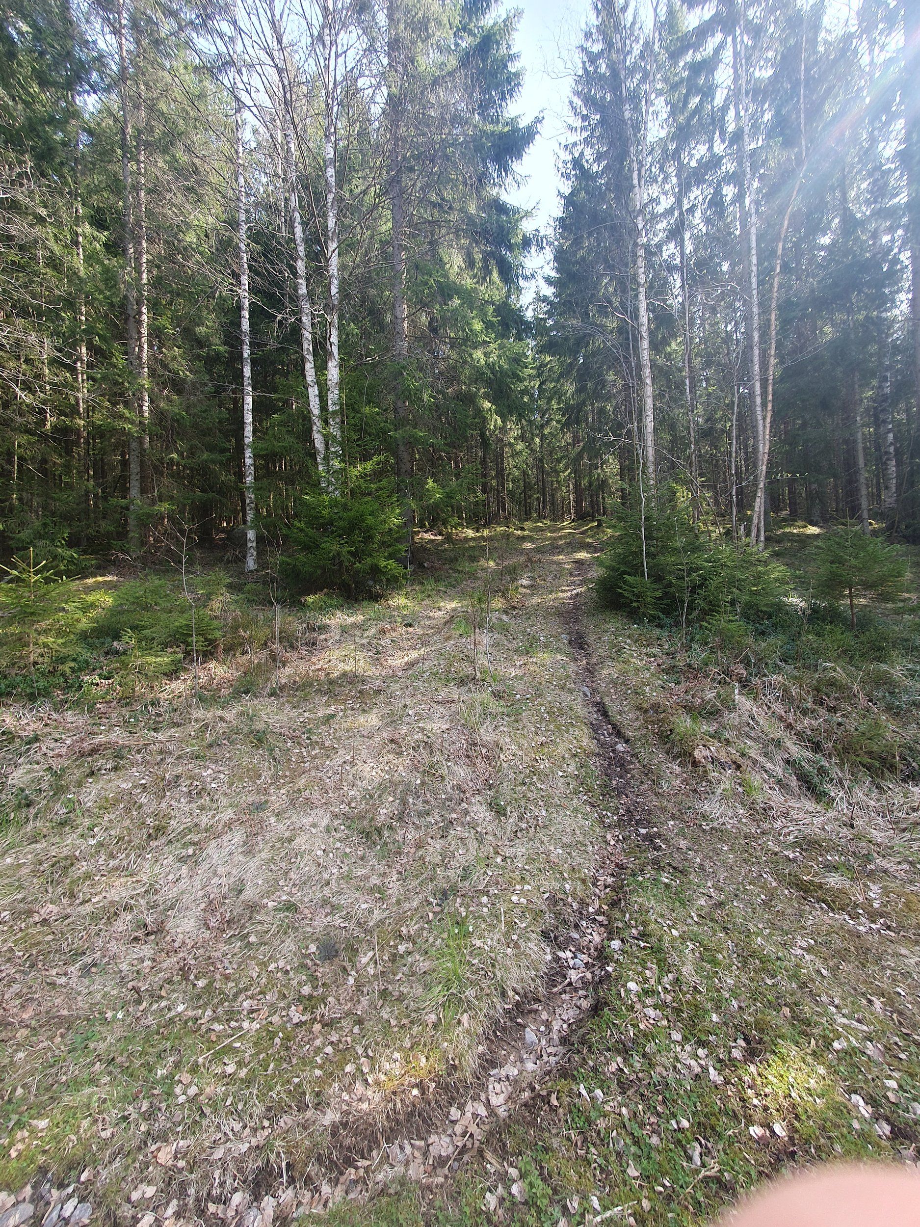 20240501_132511.jpg