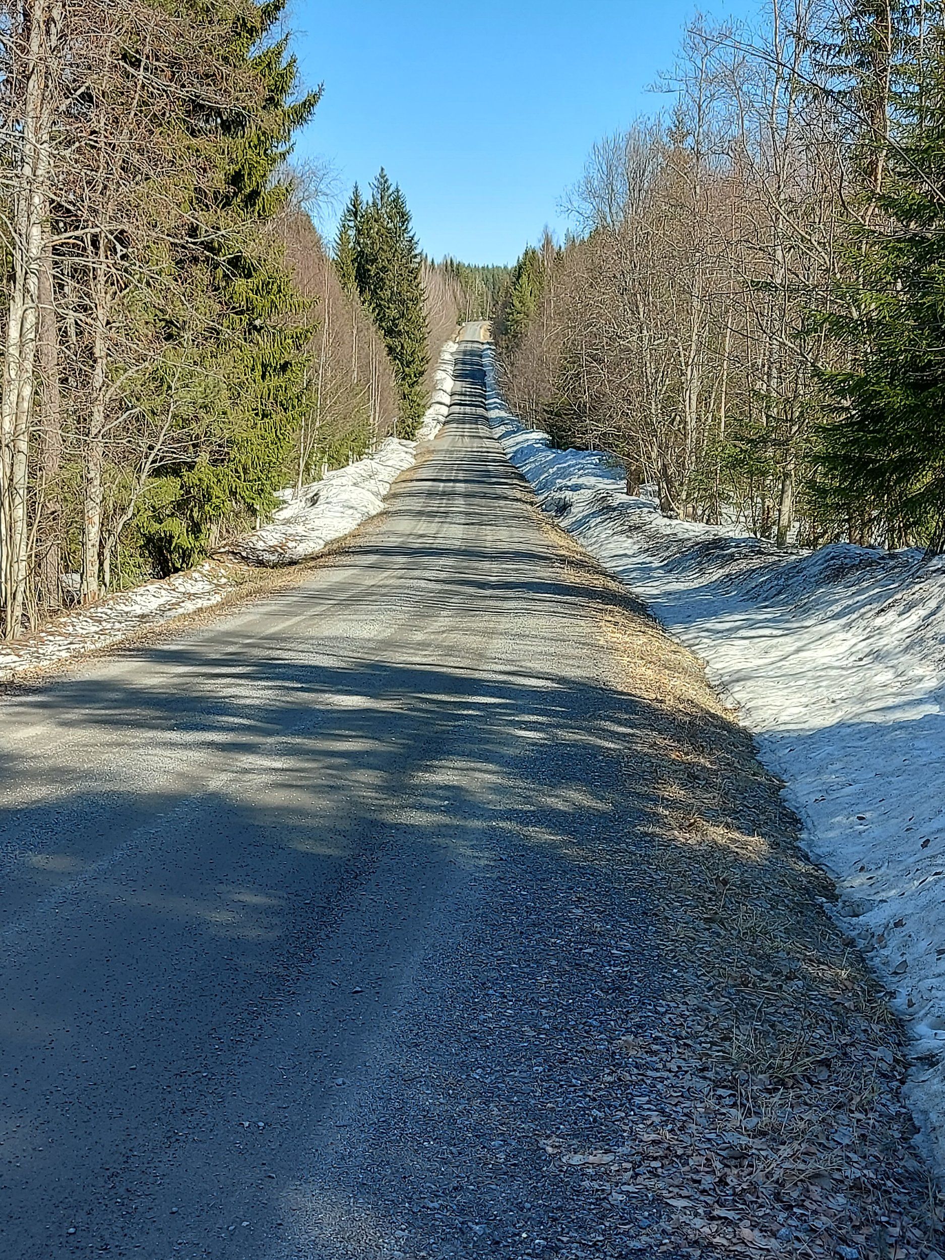 20240504_143447.jpg