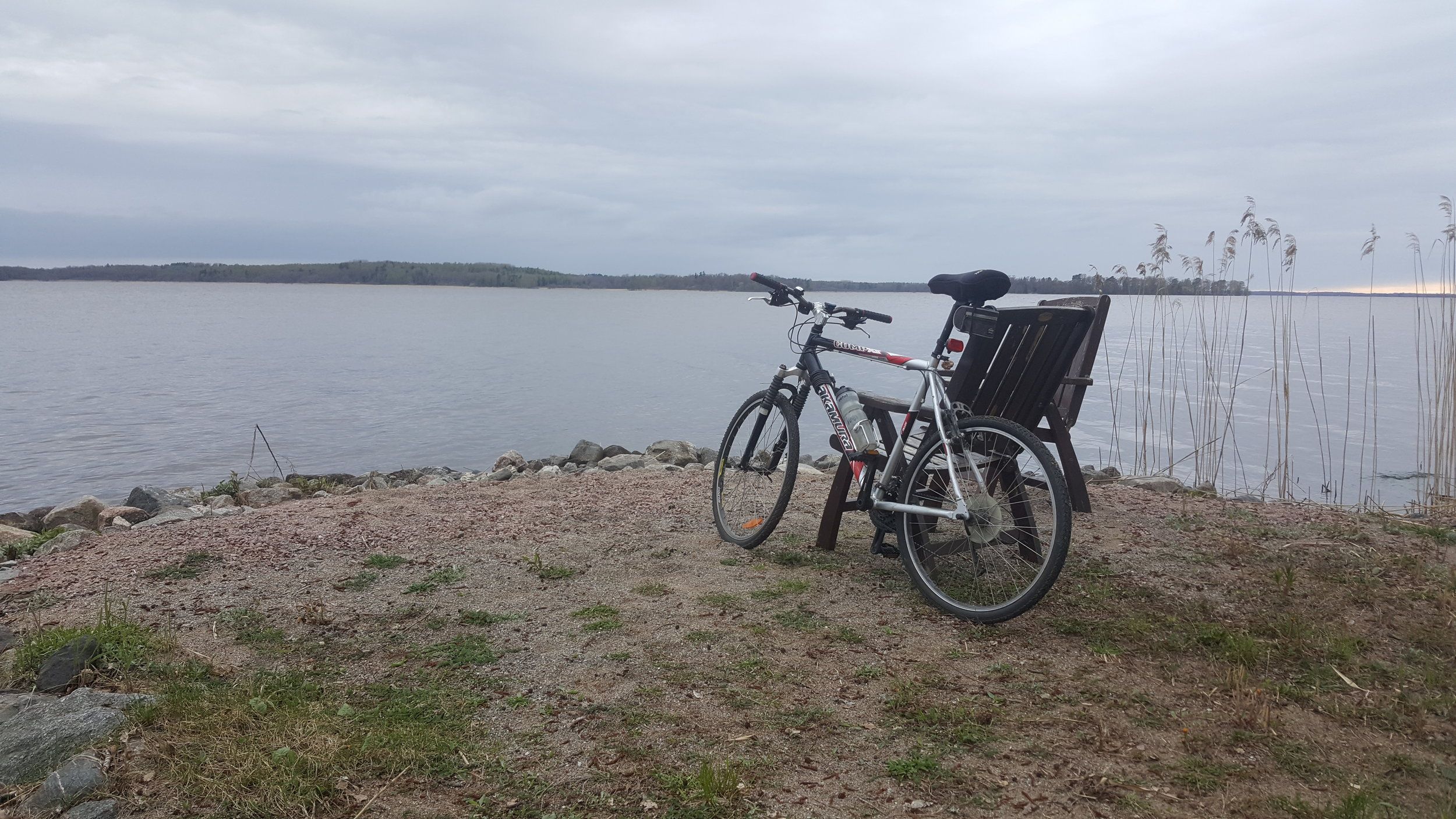 20240505_180427 - Copy.jpg