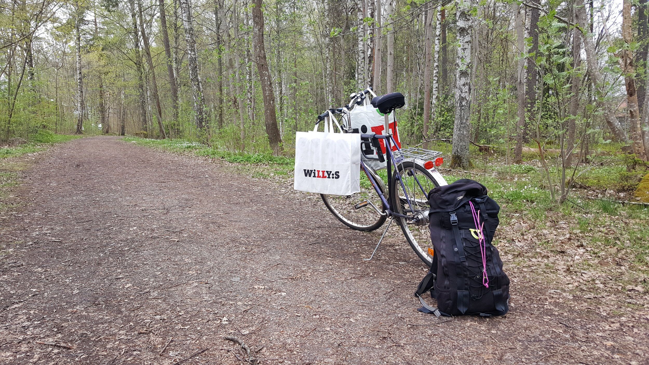 20240509_163042 - Copy.jpg
