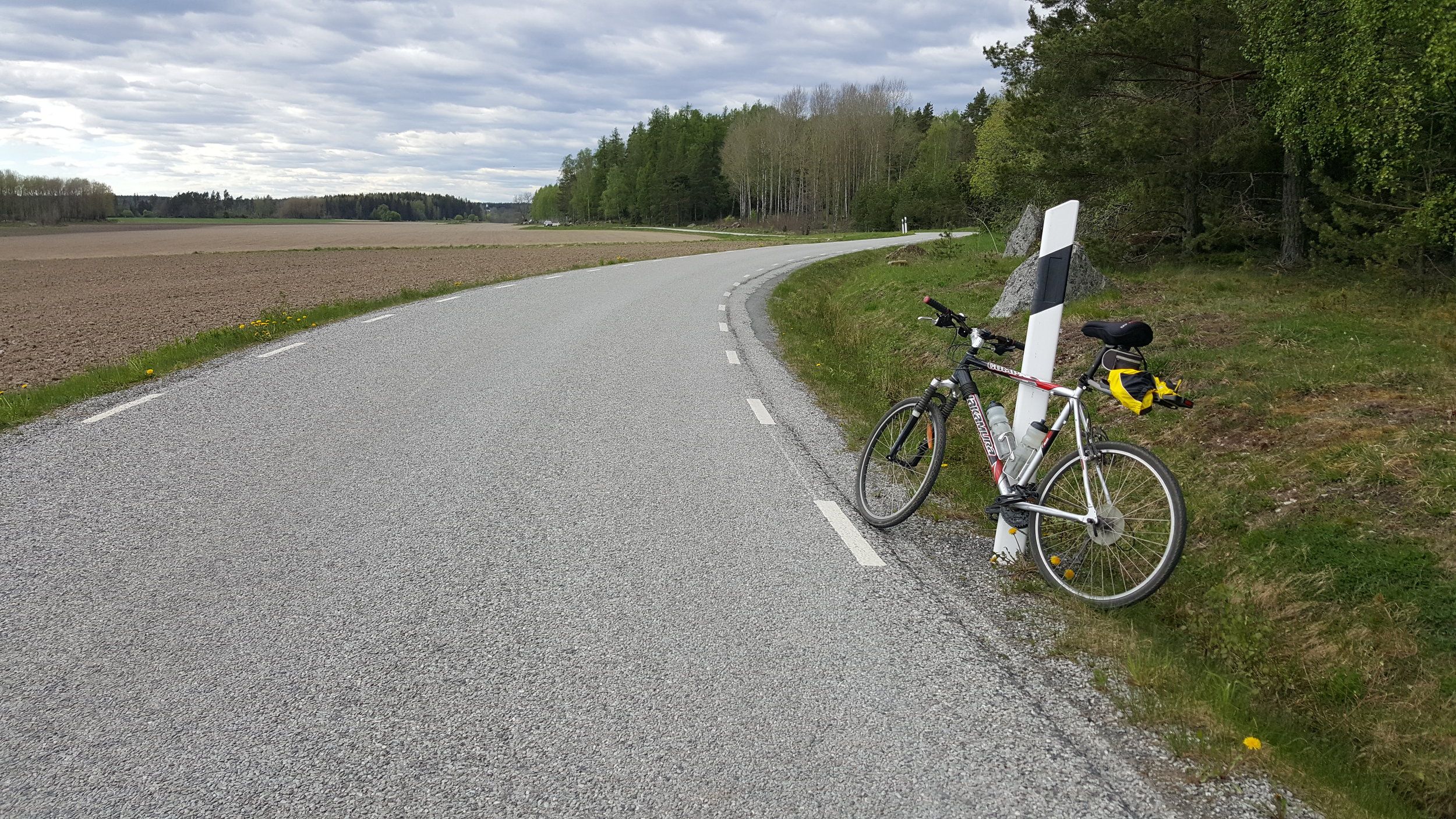 20240512_155739 - Copy.jpg