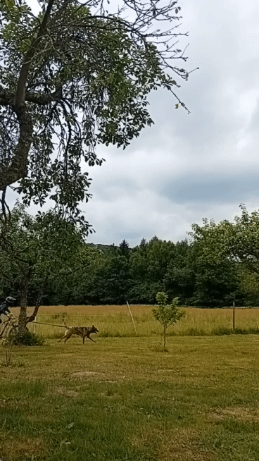 20240608_141628_1.gif