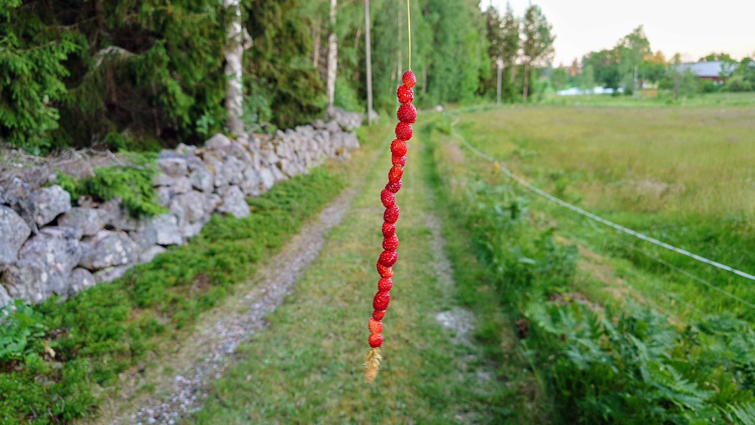 20240620_214007.JPG