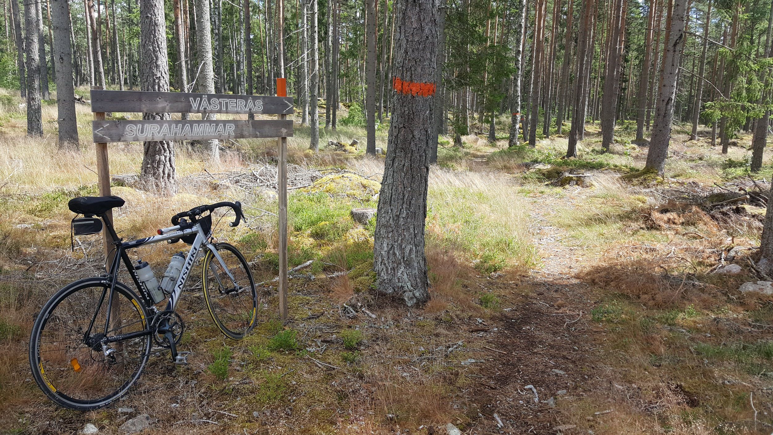 20240701_125206 - Copy.jpg