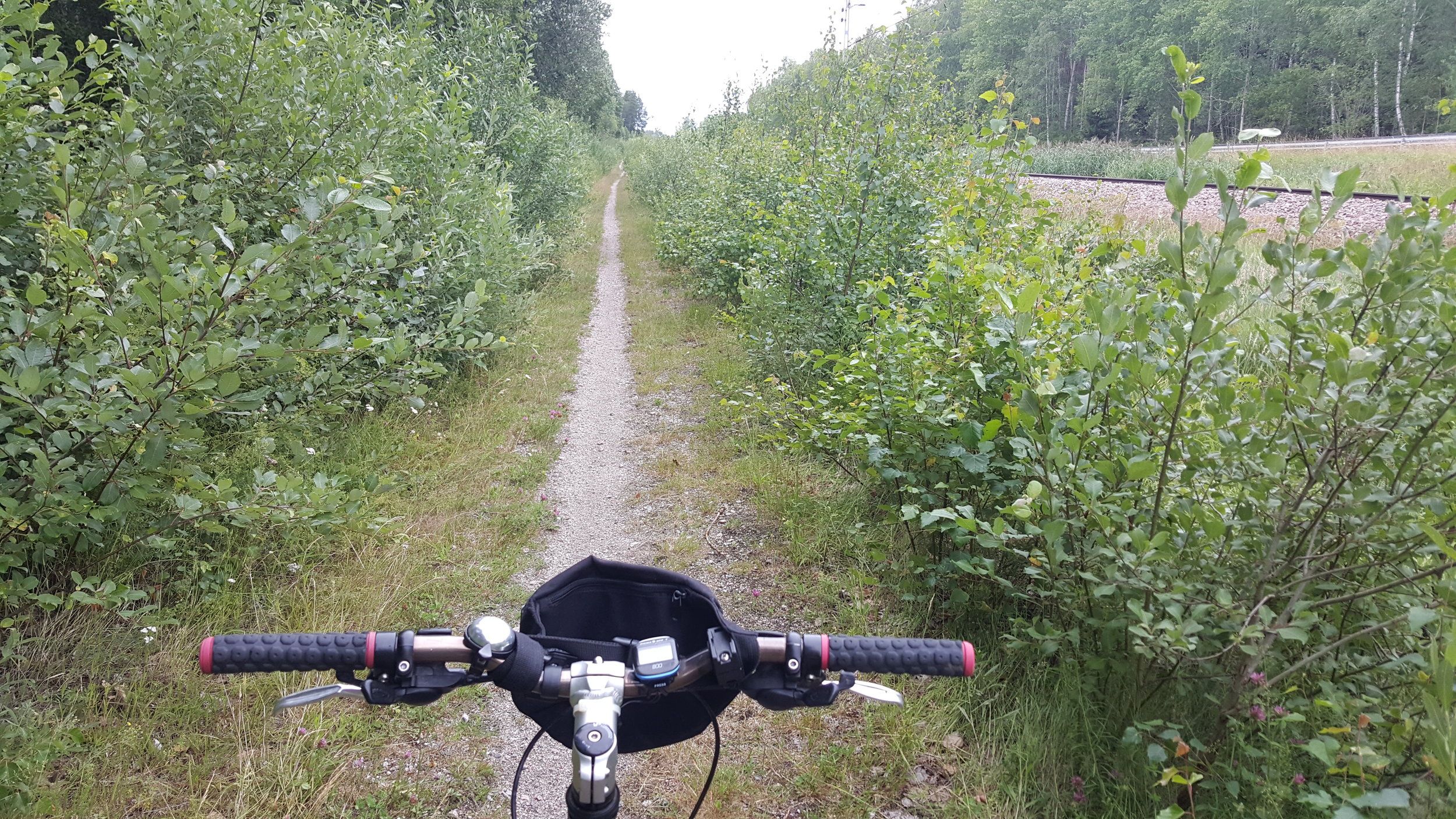 20240706_173056 - Copy.jpg