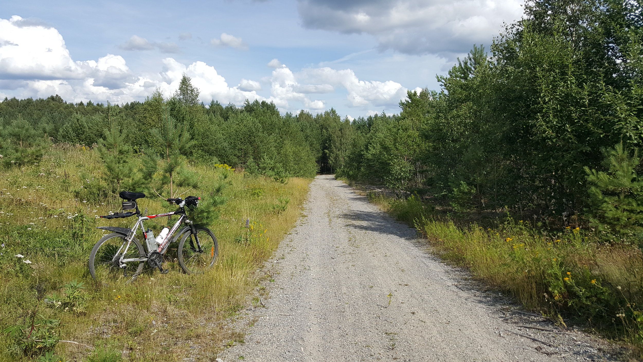 20240724_150416 - Copy.jpg