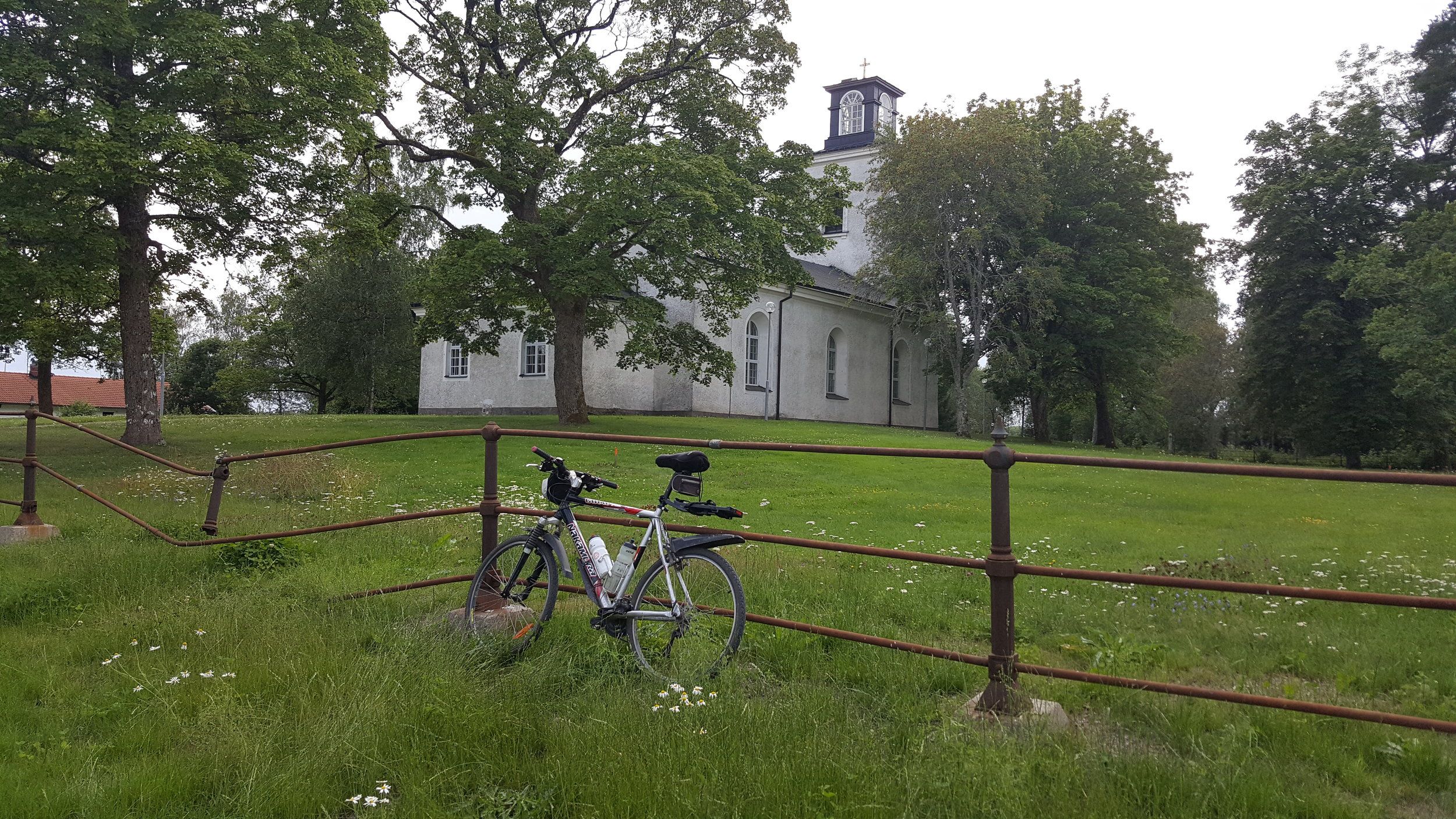 20240724_160036 - Copy.jpg