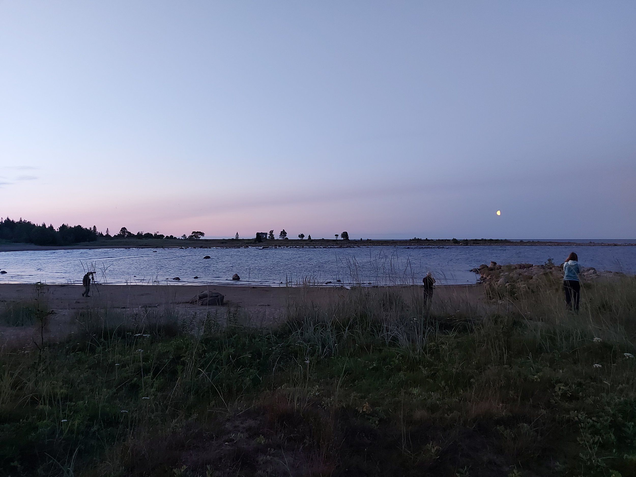 20240726_224807.jpg
