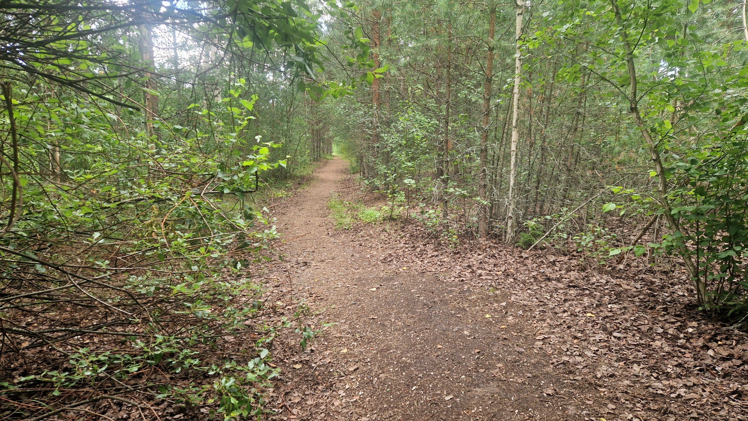20240730_144359.jpg