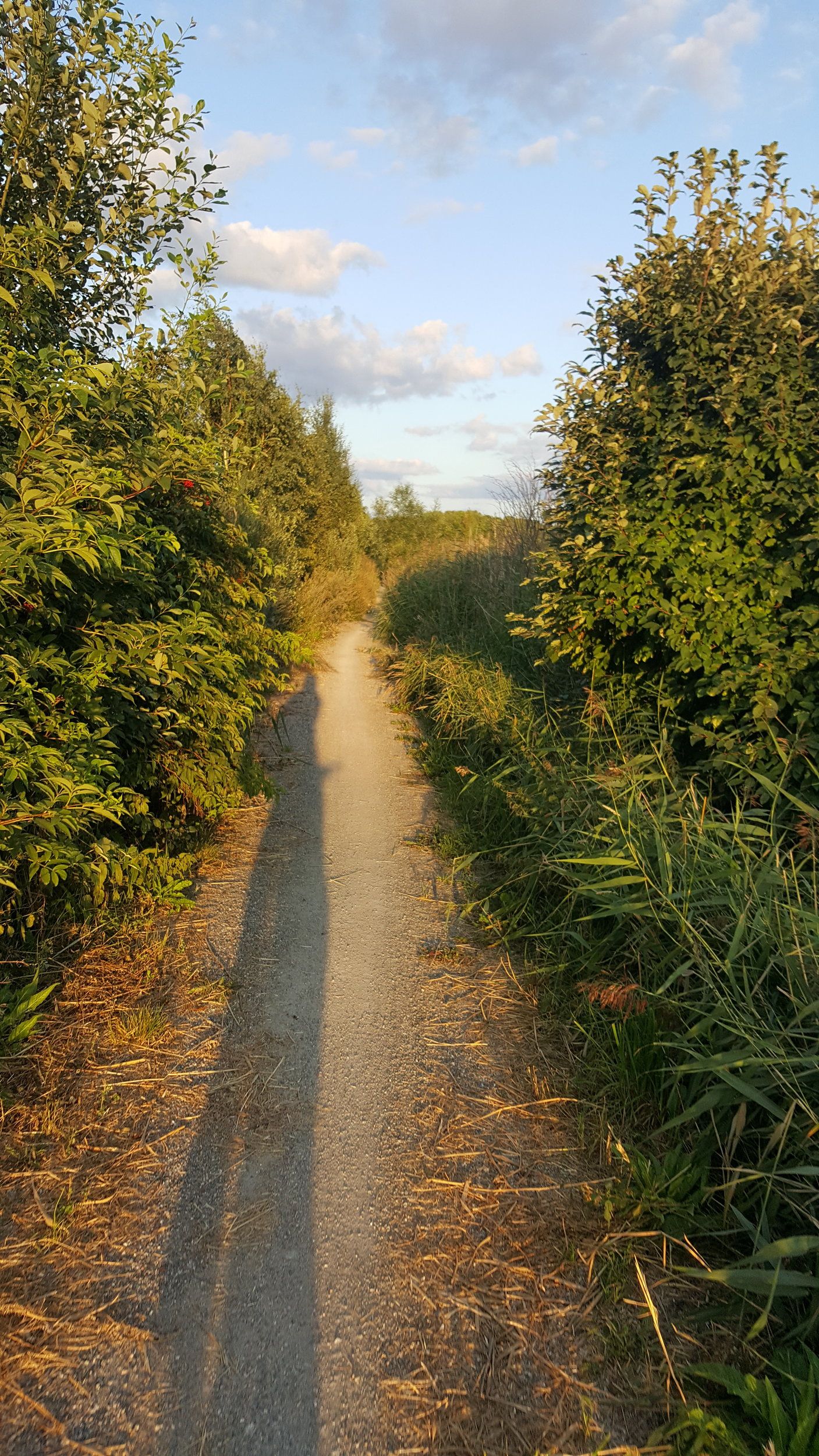 20240802_201008 - Copy.jpg