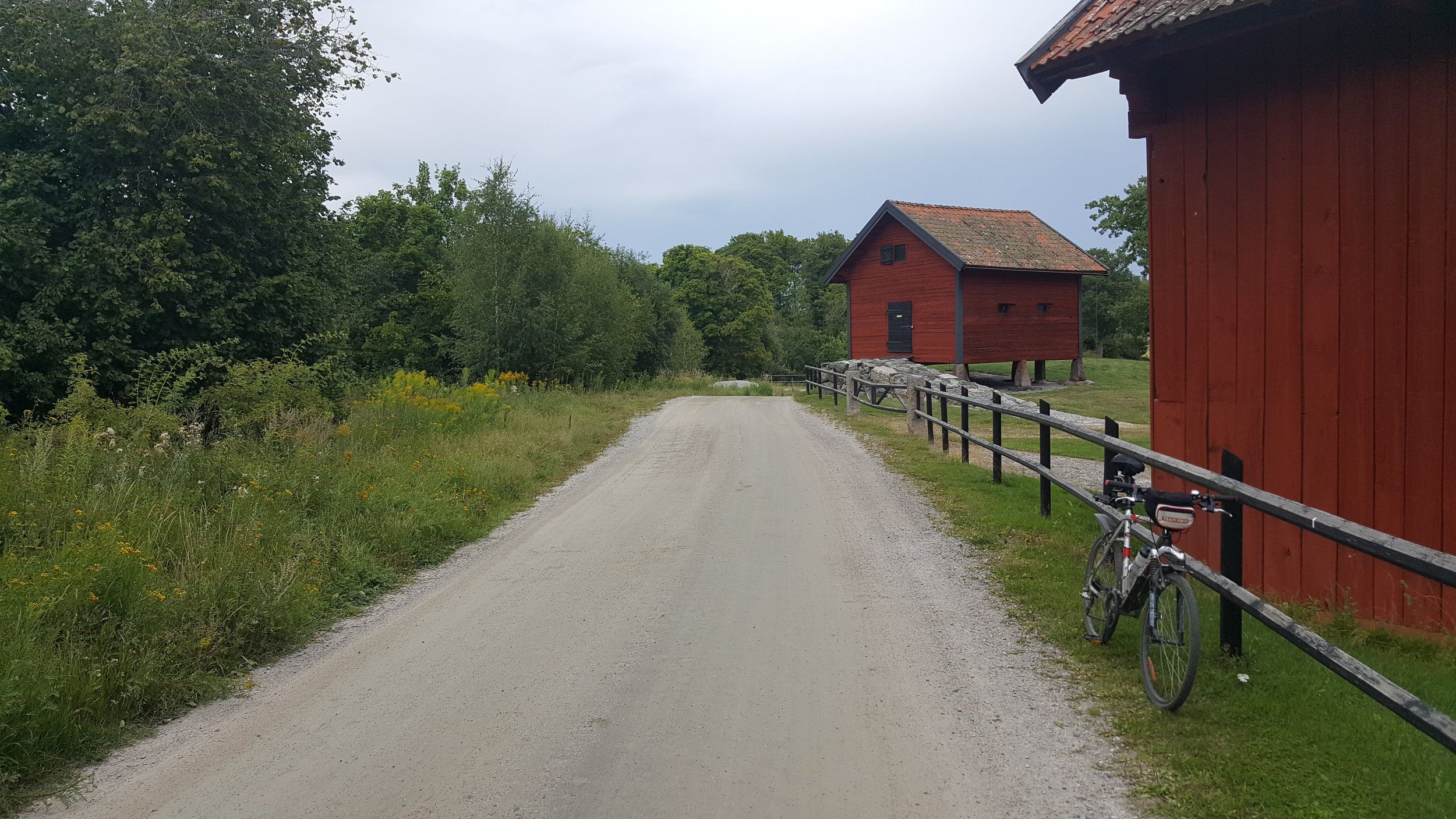 20240804_153655 - Copy.jpg