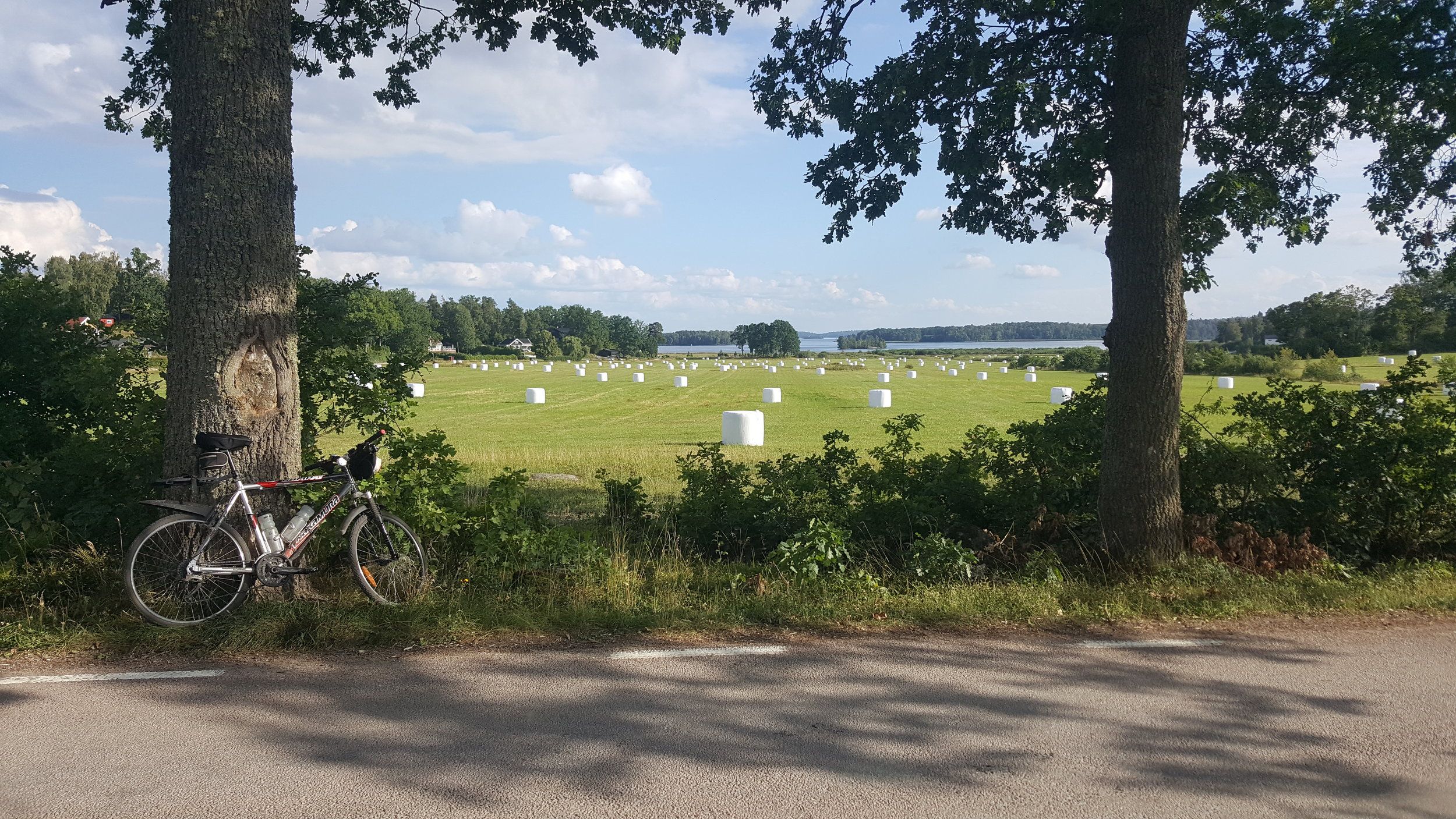 20240805_173331 - Copy.jpg