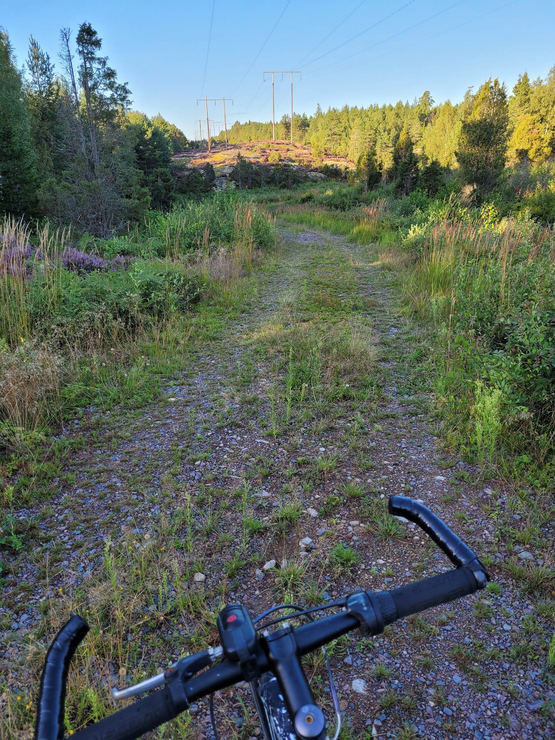 20240811_065913.jpg