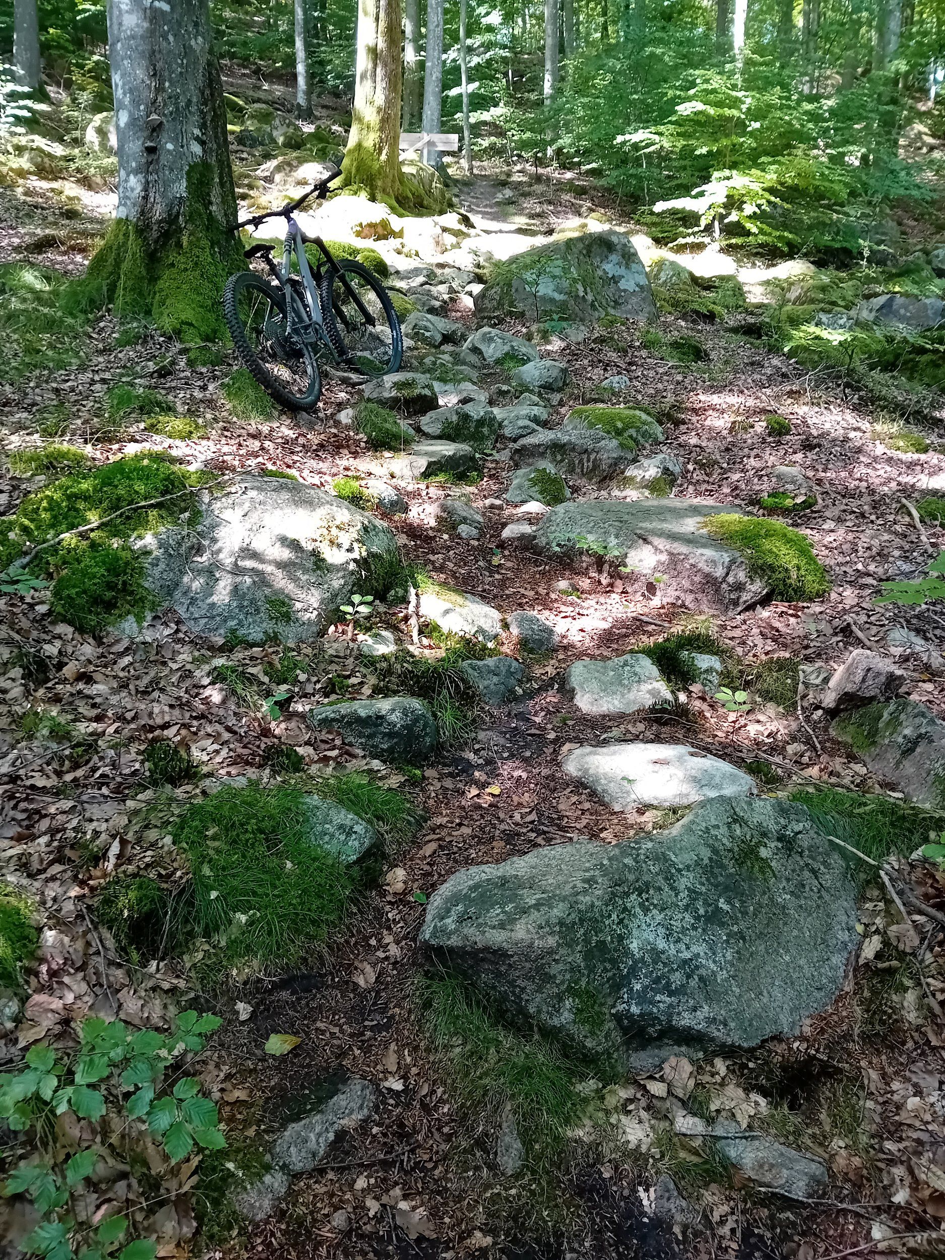 20240813_123521.jpg
