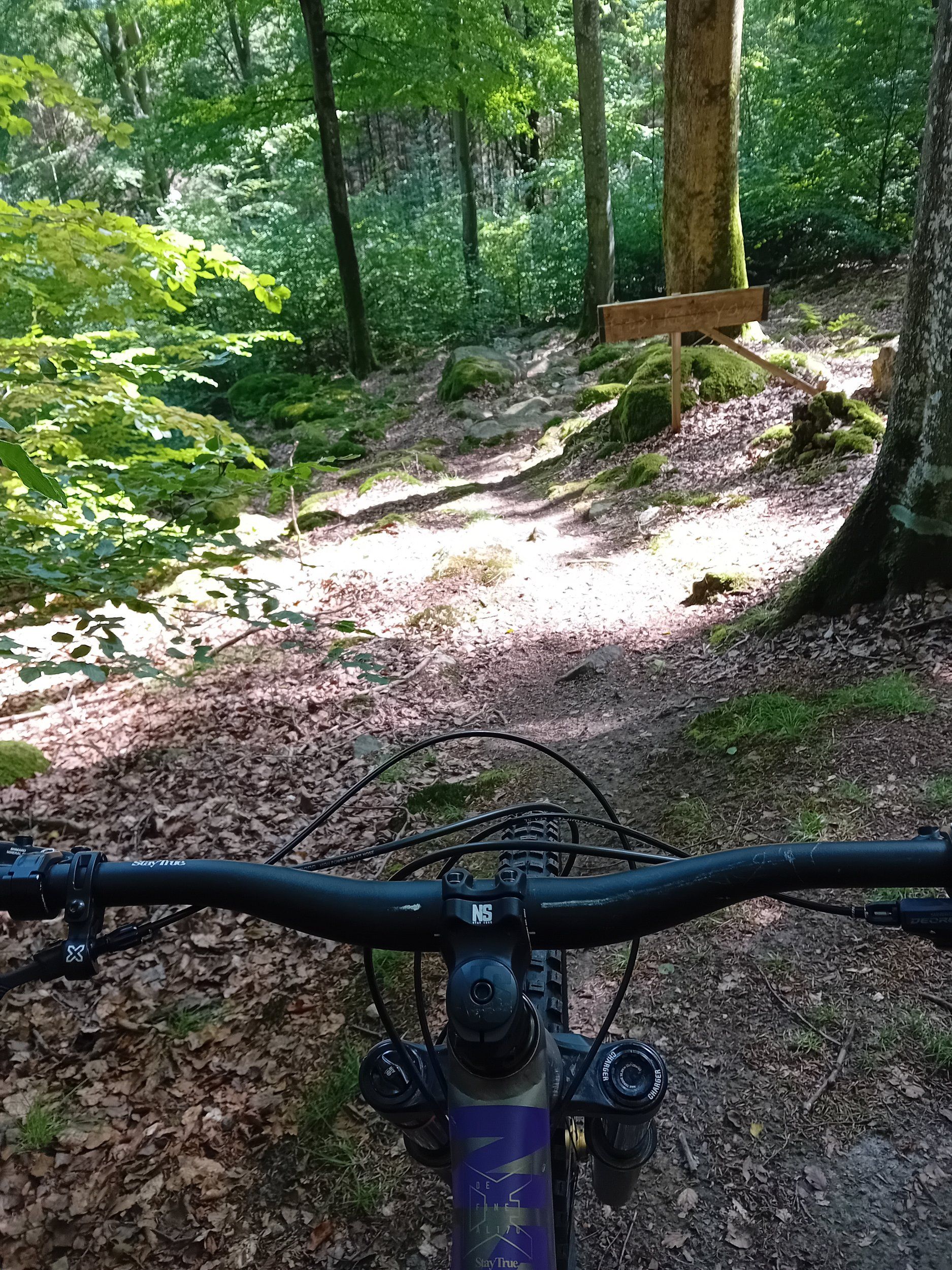 20240824_120832.jpg