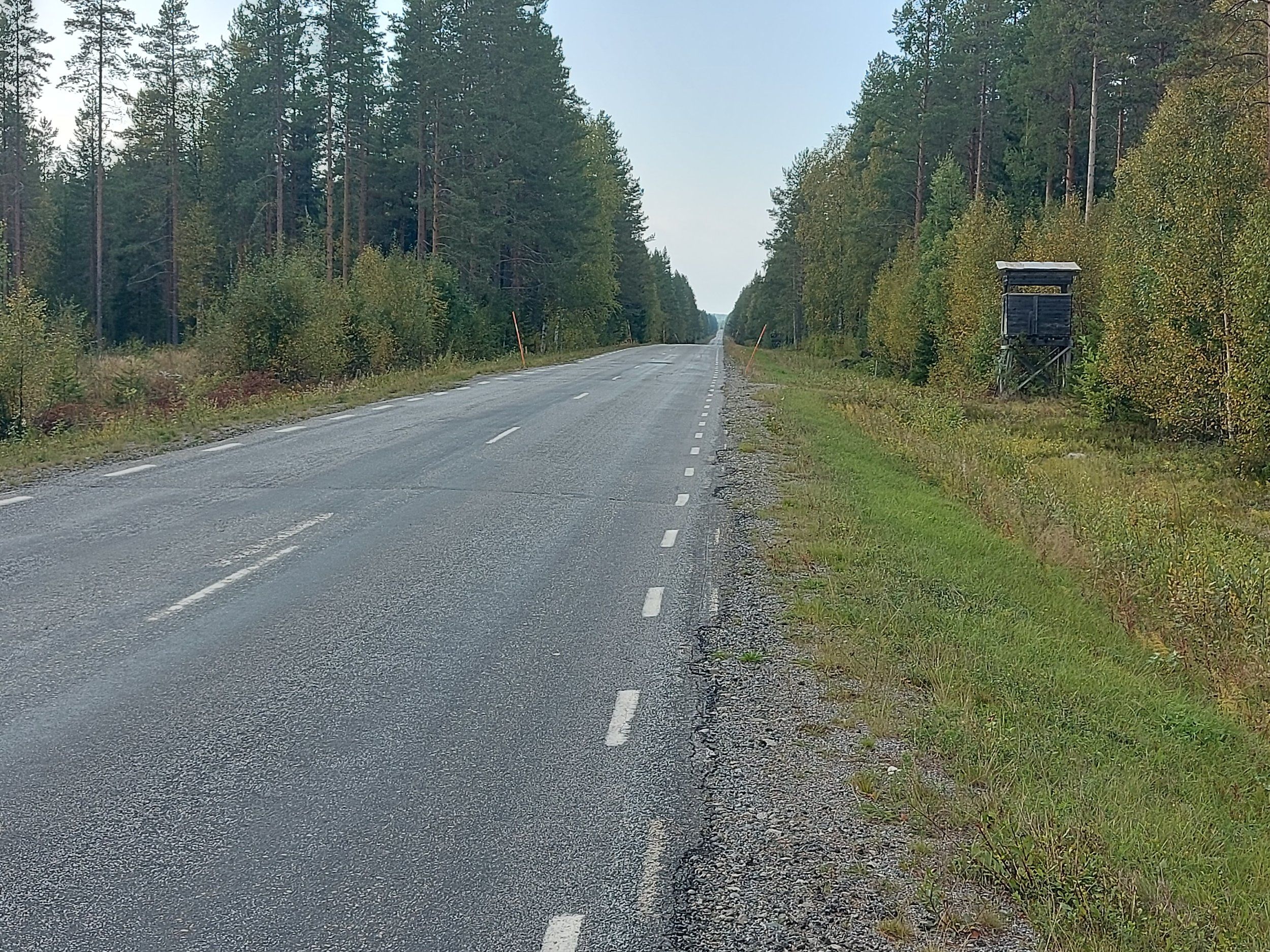 20240831_162130.jpg