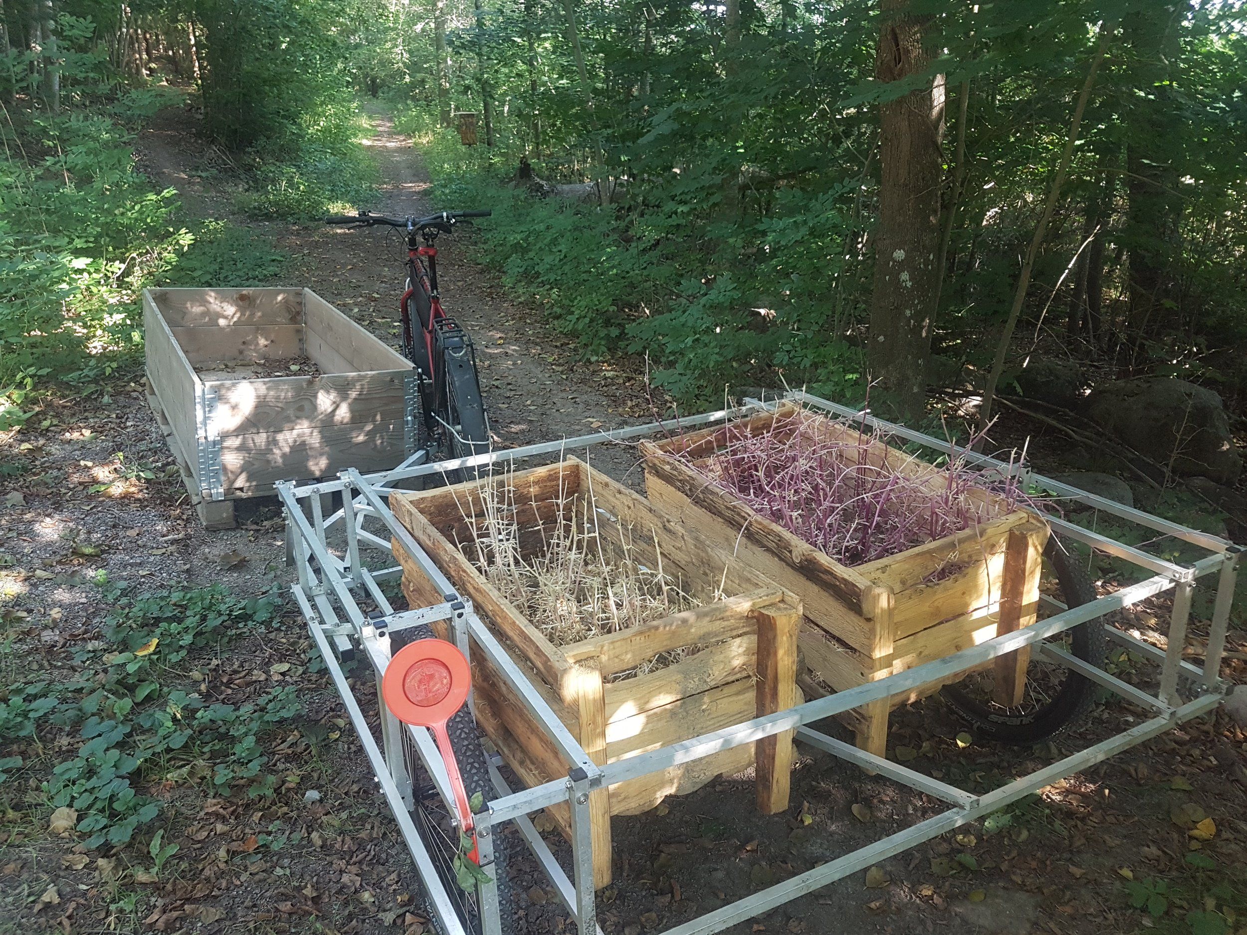 20240905_152517.jpg