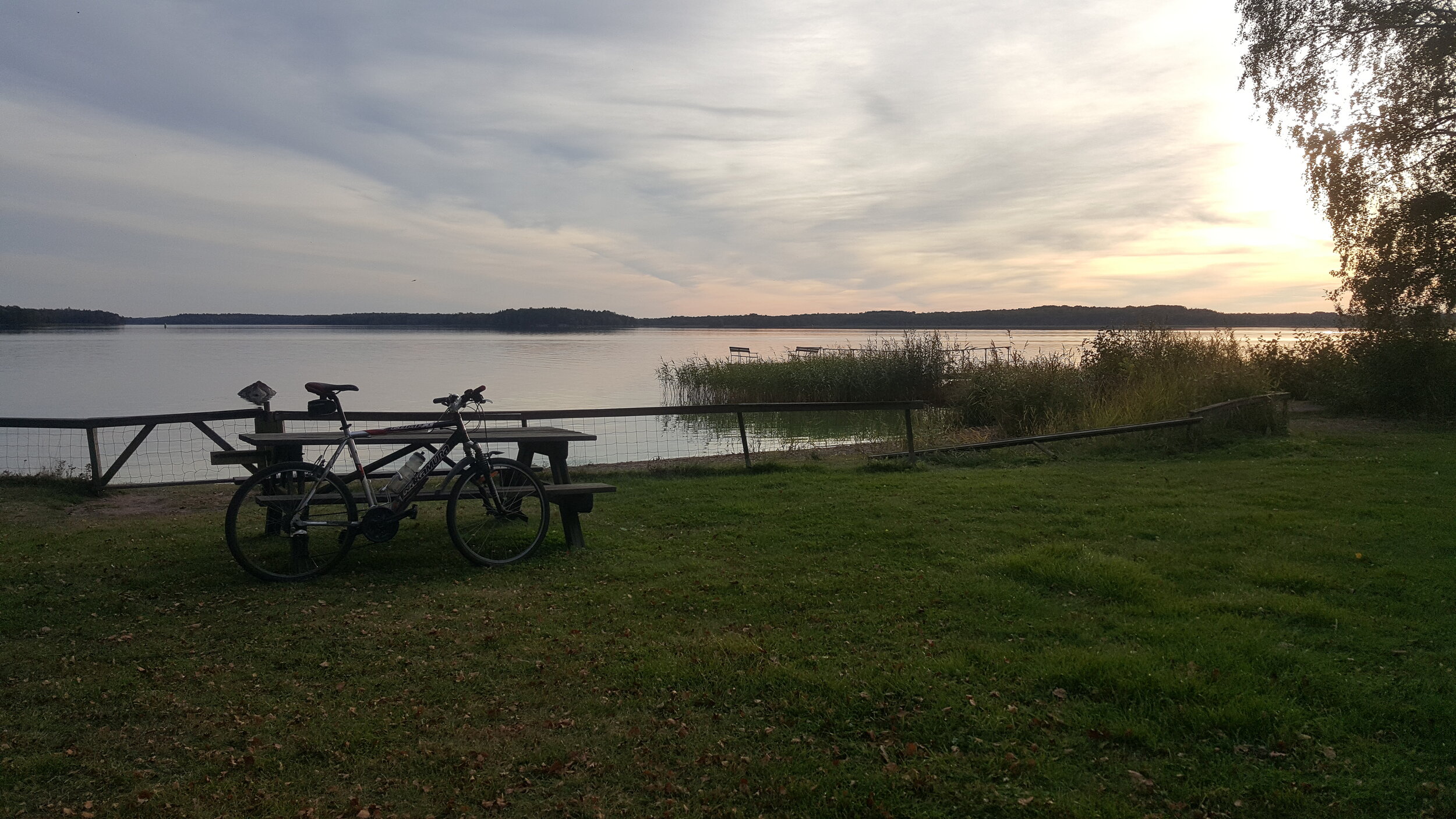 20240918_174503 - Copy.jpg