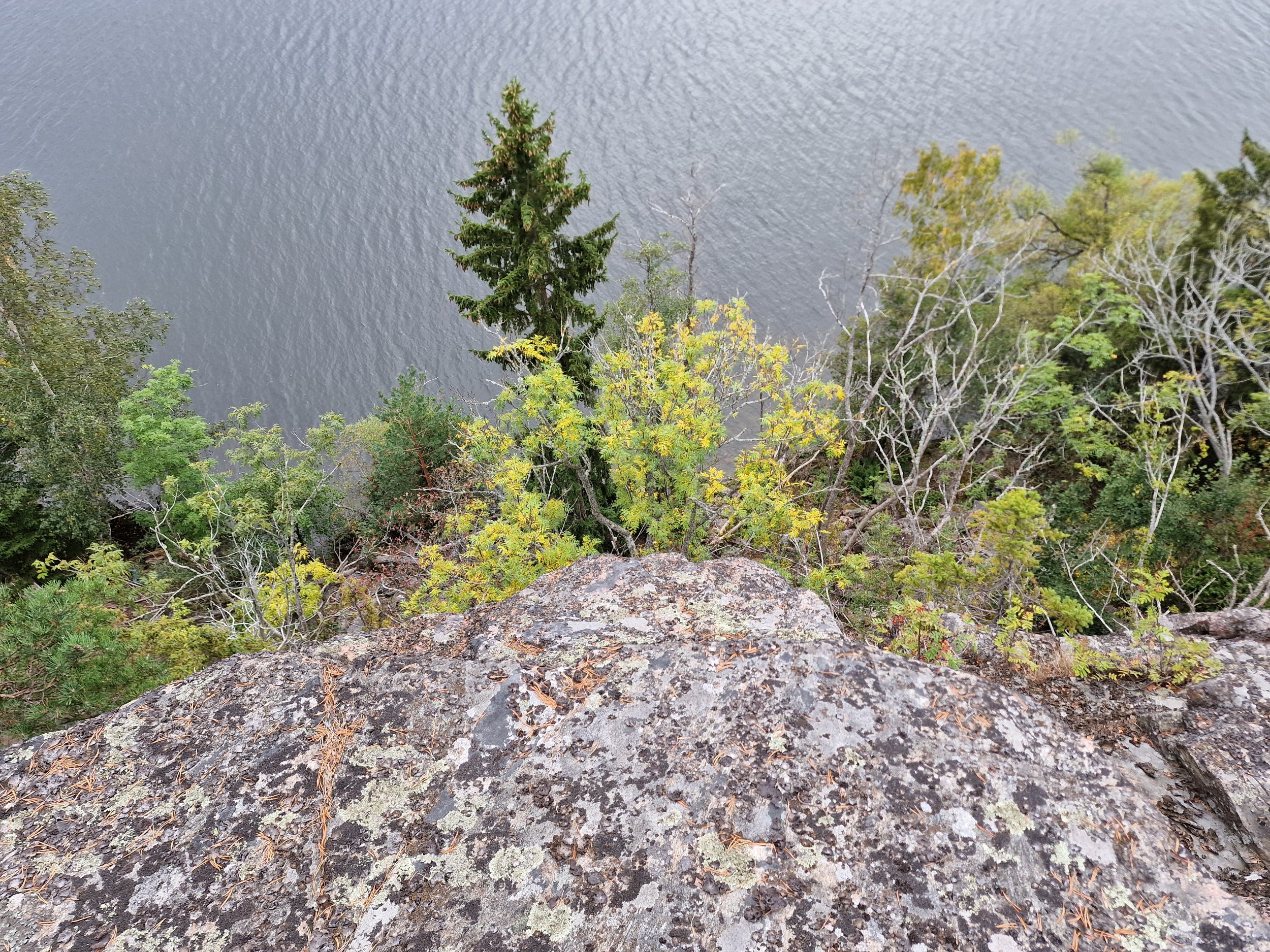 20240921_163045.jpg