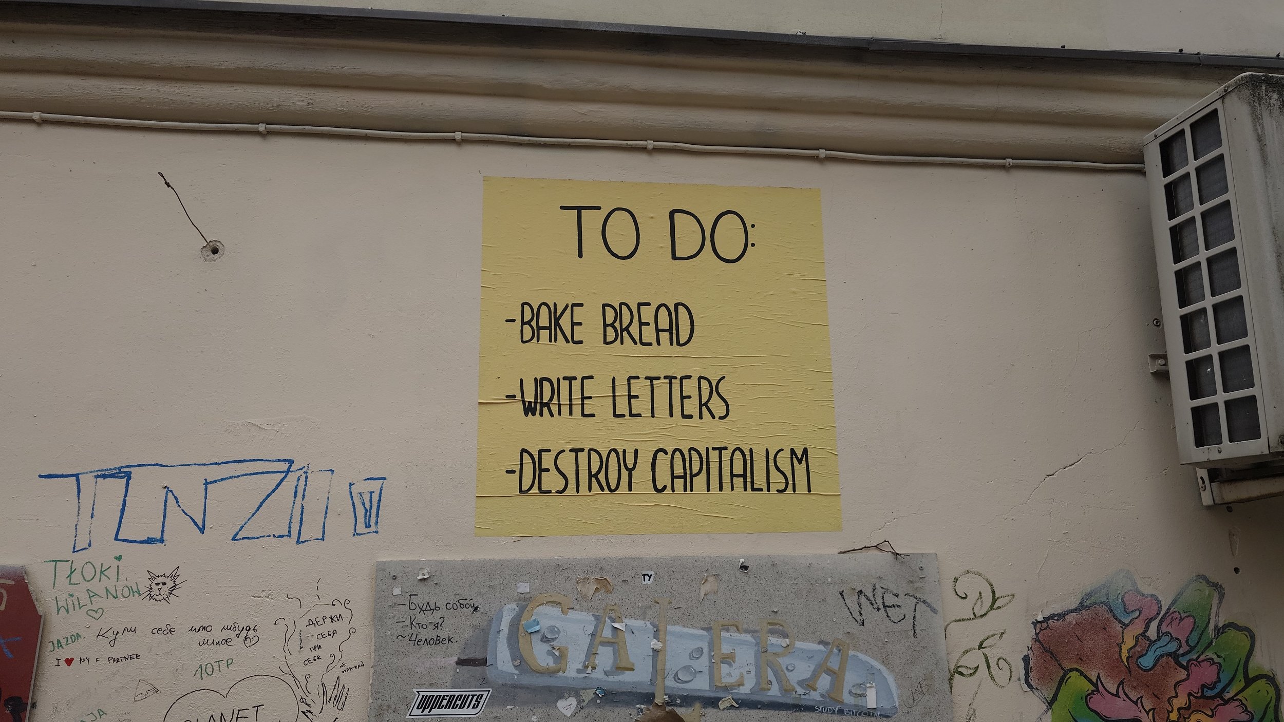 20240928_152501.JPG
