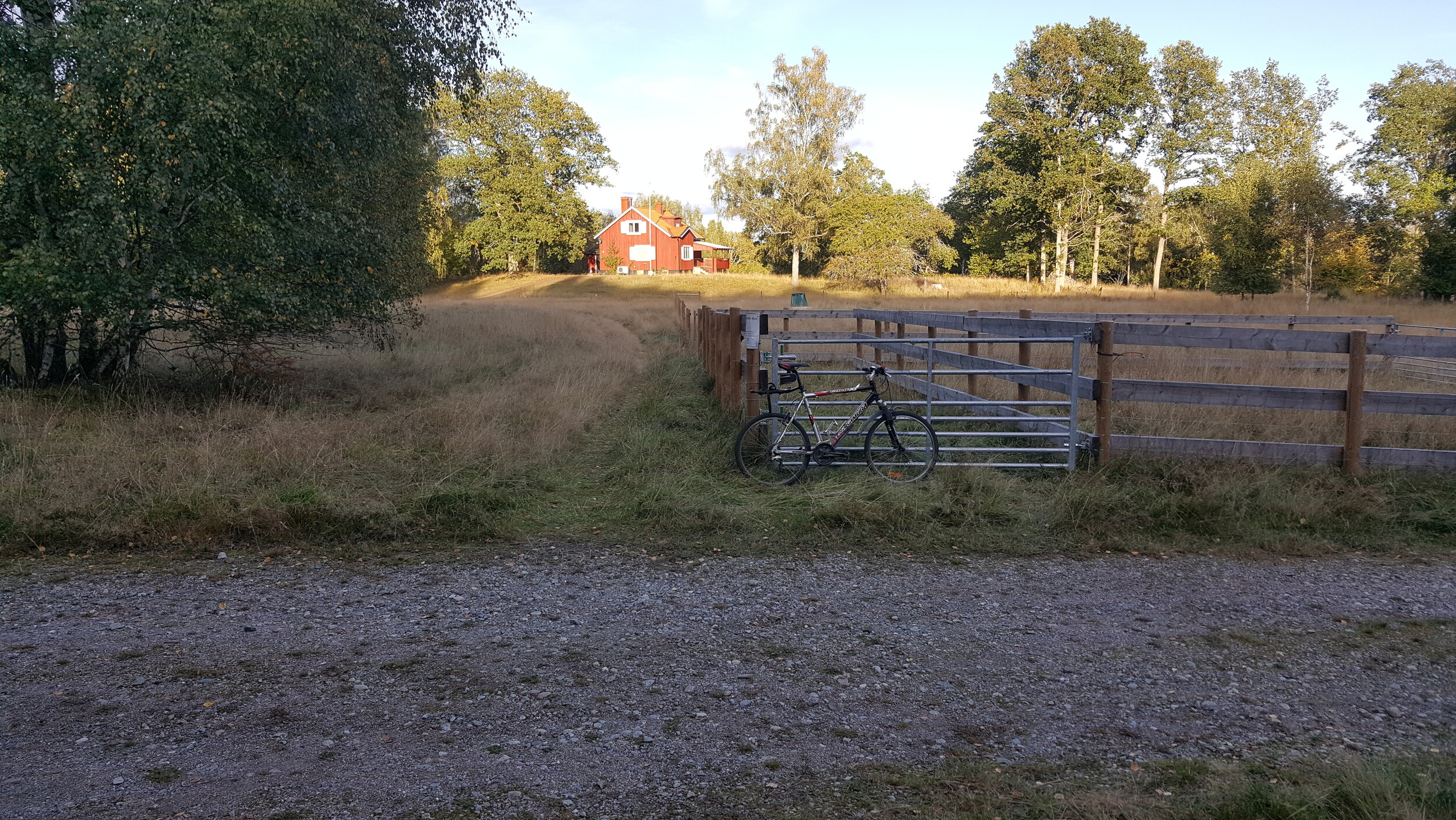 20241001_163830 - Copy.jpg