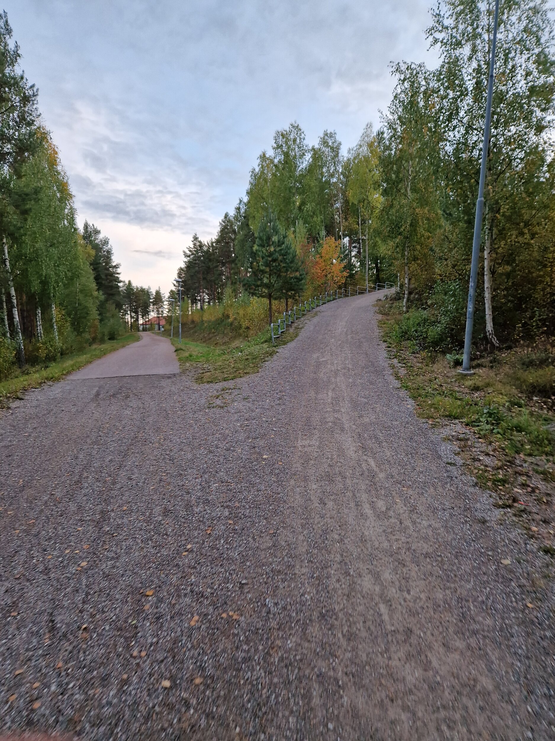 20241001_181715.jpg