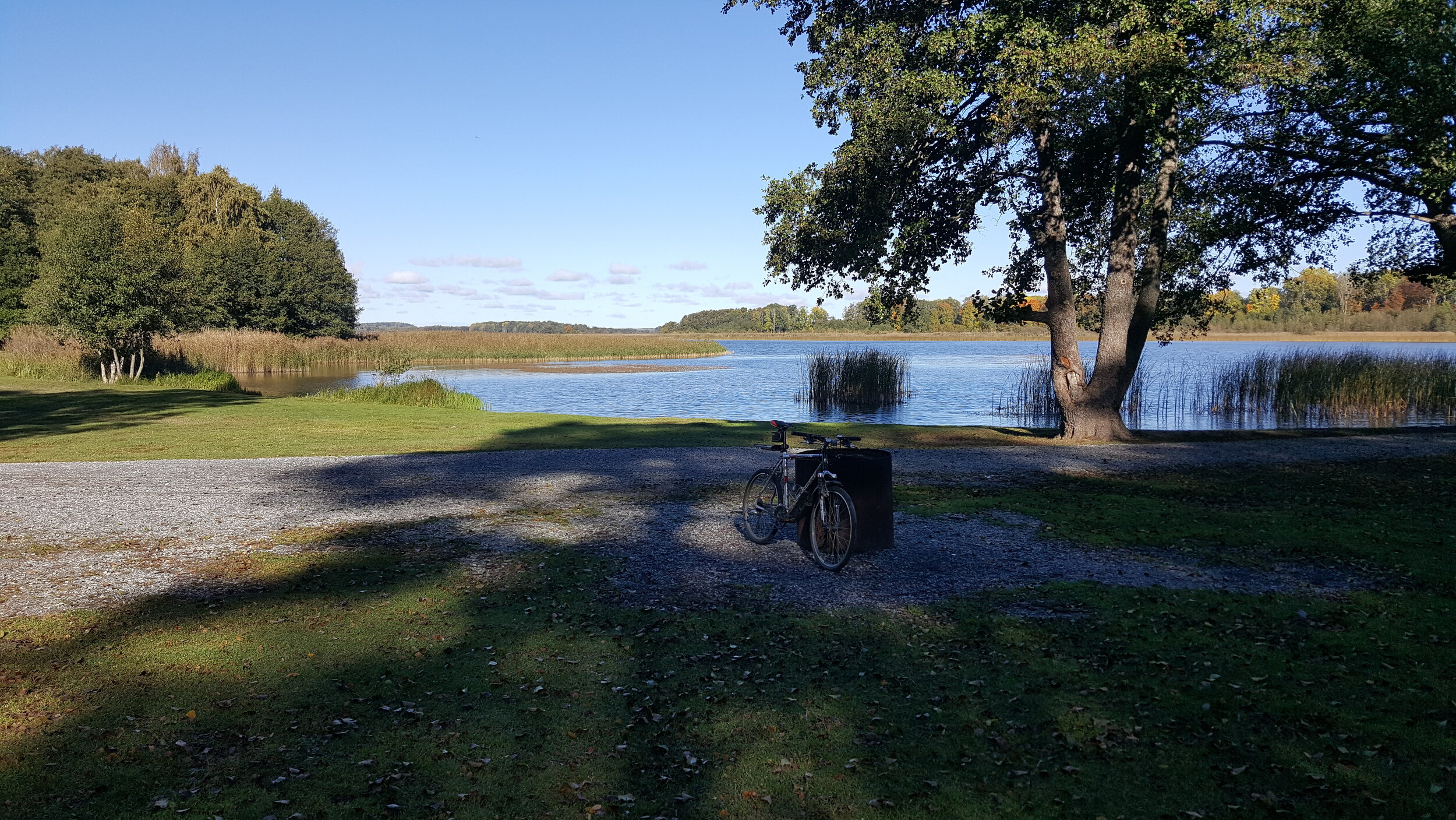 20241003_122927 - Copy.jpg