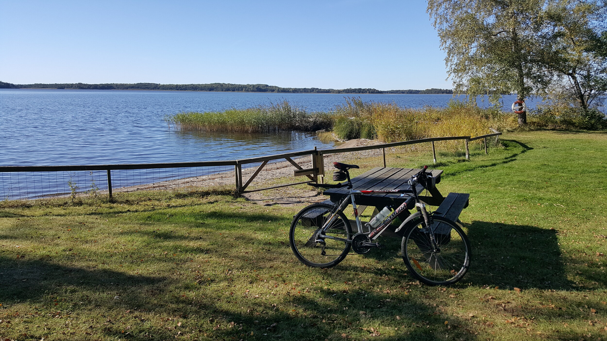 20241004_124329 - Copy.jpg