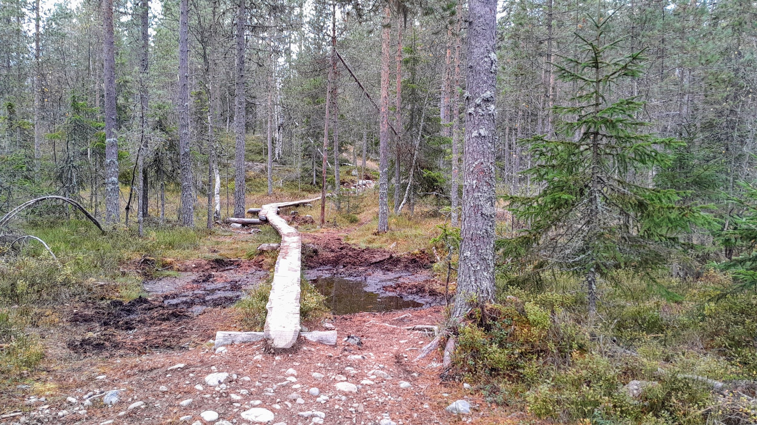 20241005_105739~2.jpg