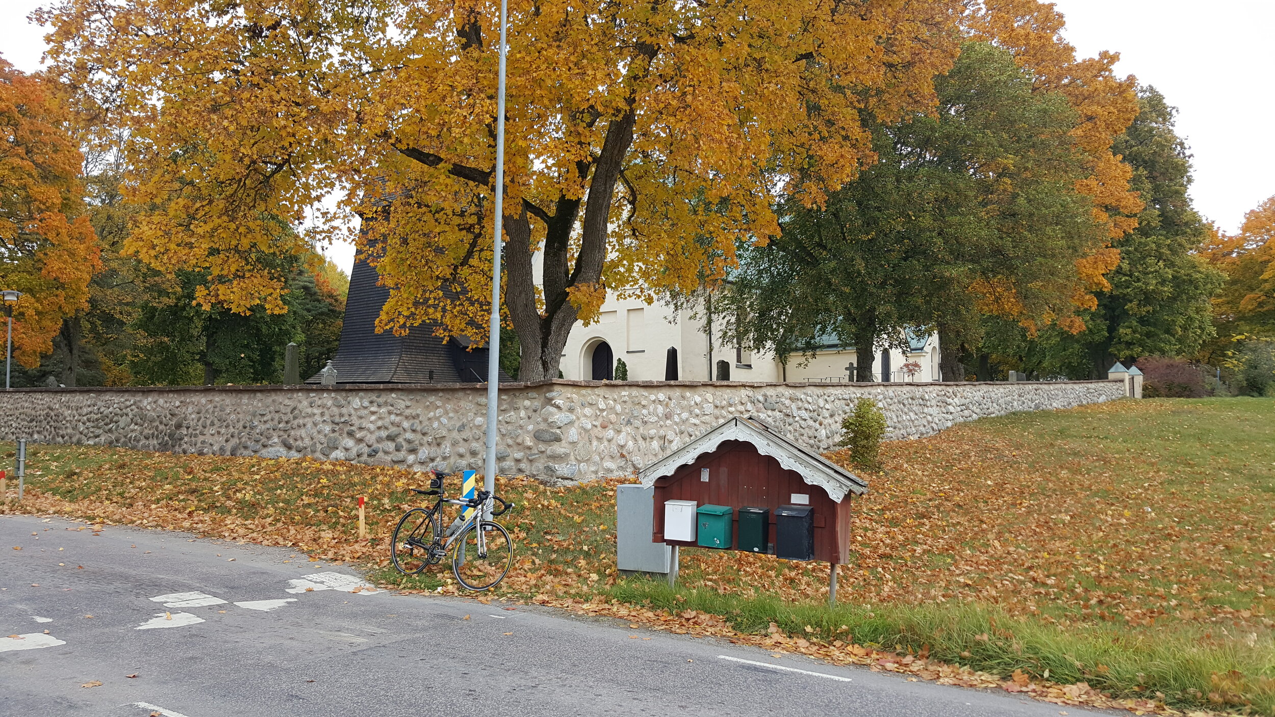 20241008_132353 - Copy.jpg