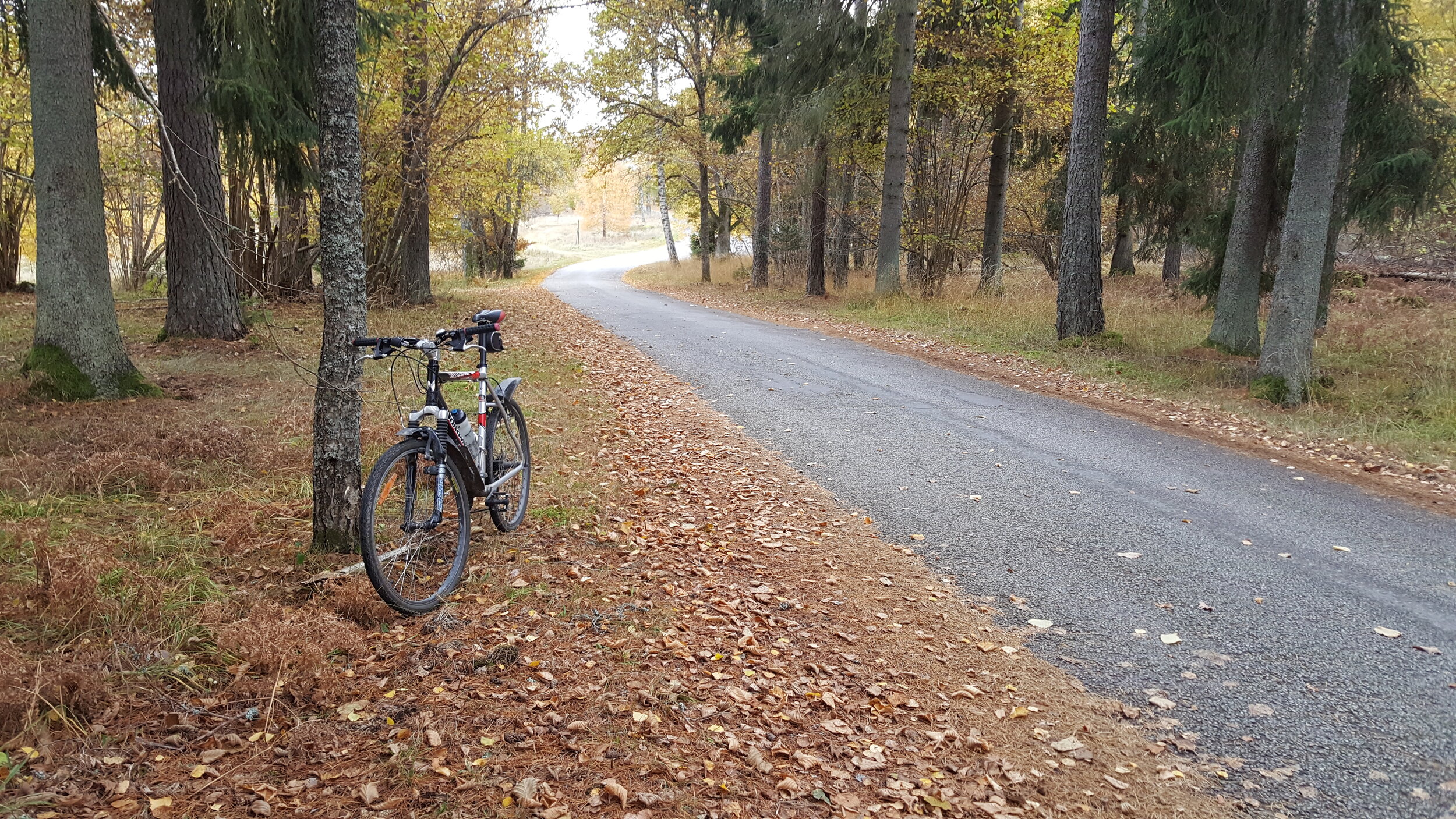 20241019_145924 - Copy.jpg