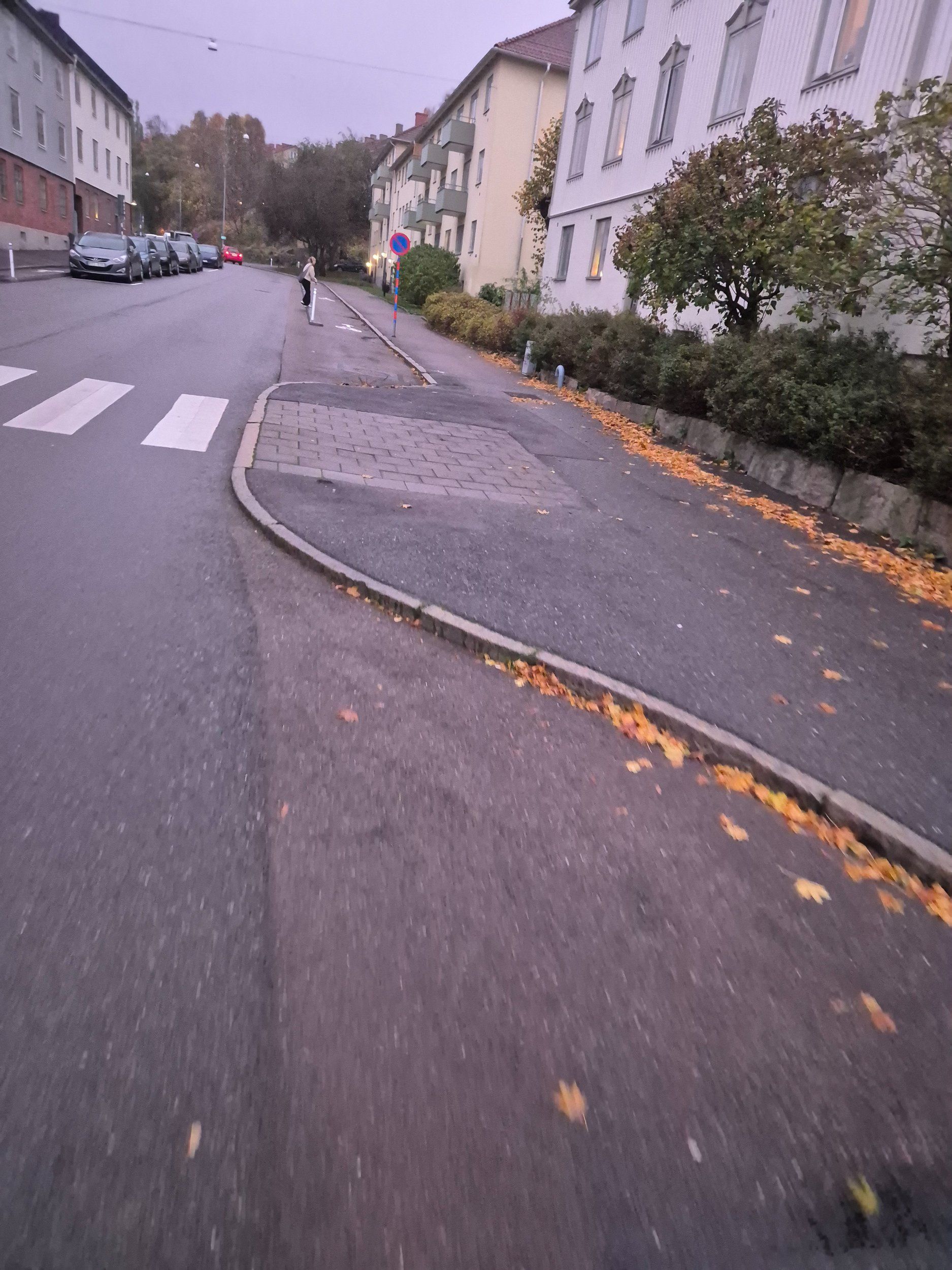 20241028_164645.jpg
