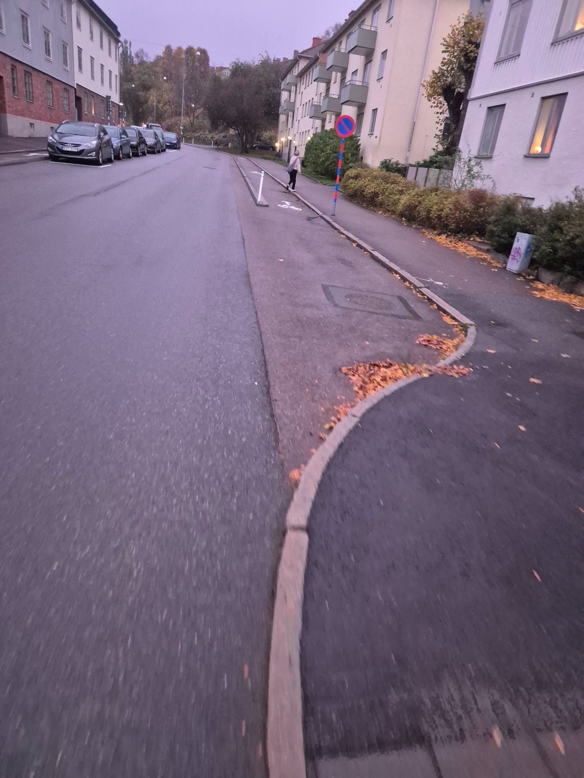 20241028_164648.jpg