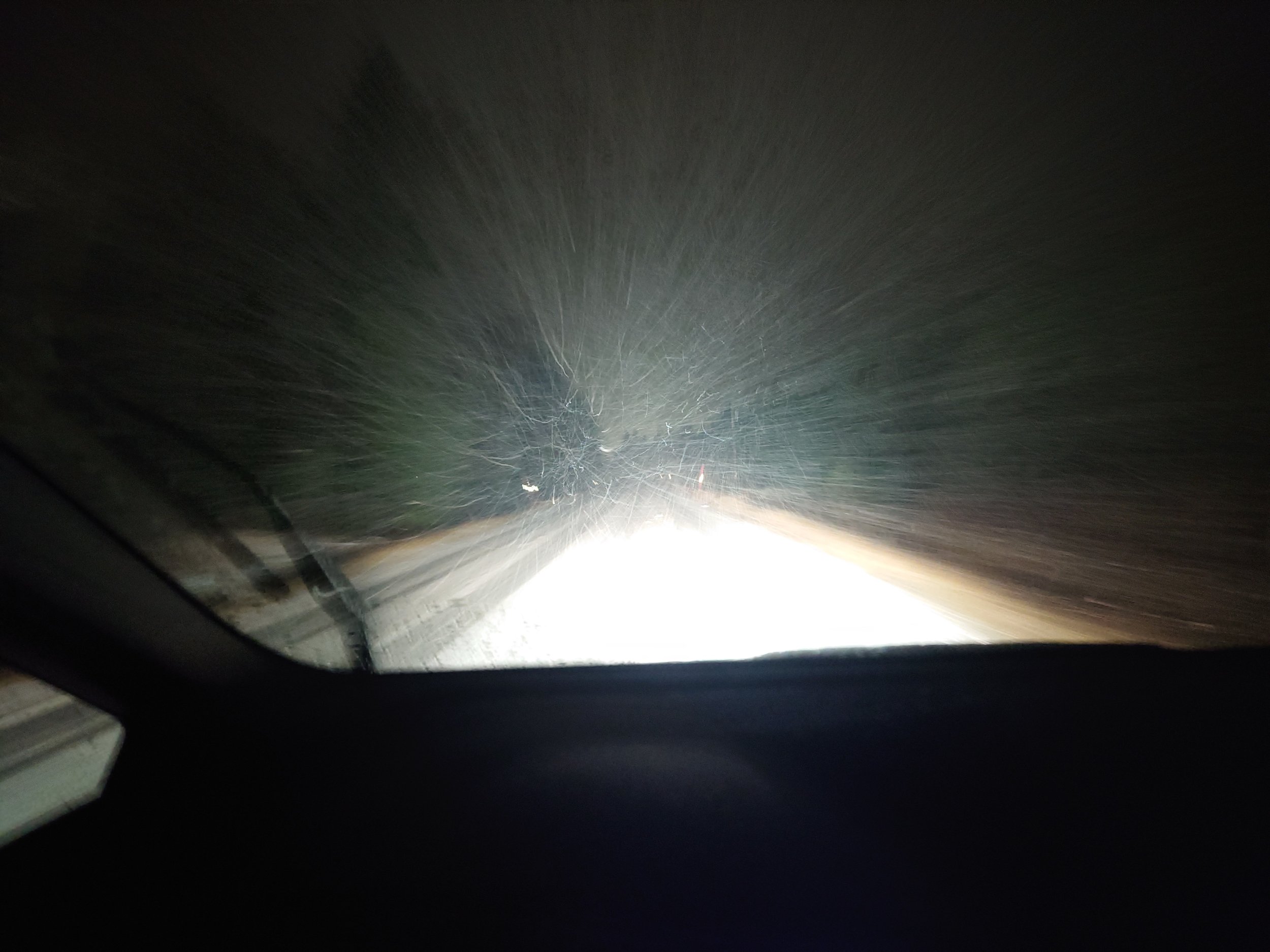 20241120_180303.JPG