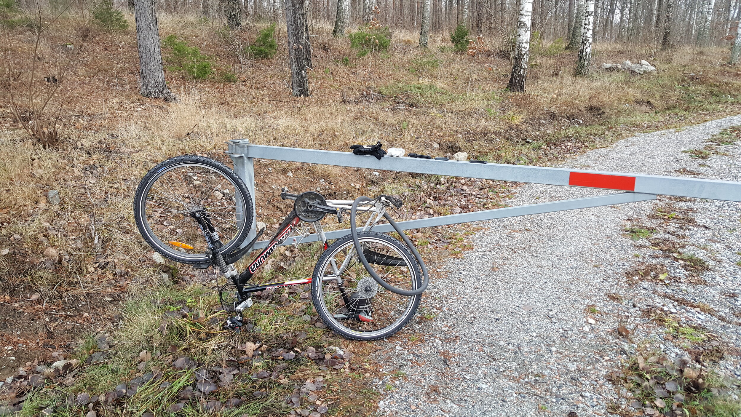 20241130_120454 - Copy.jpg