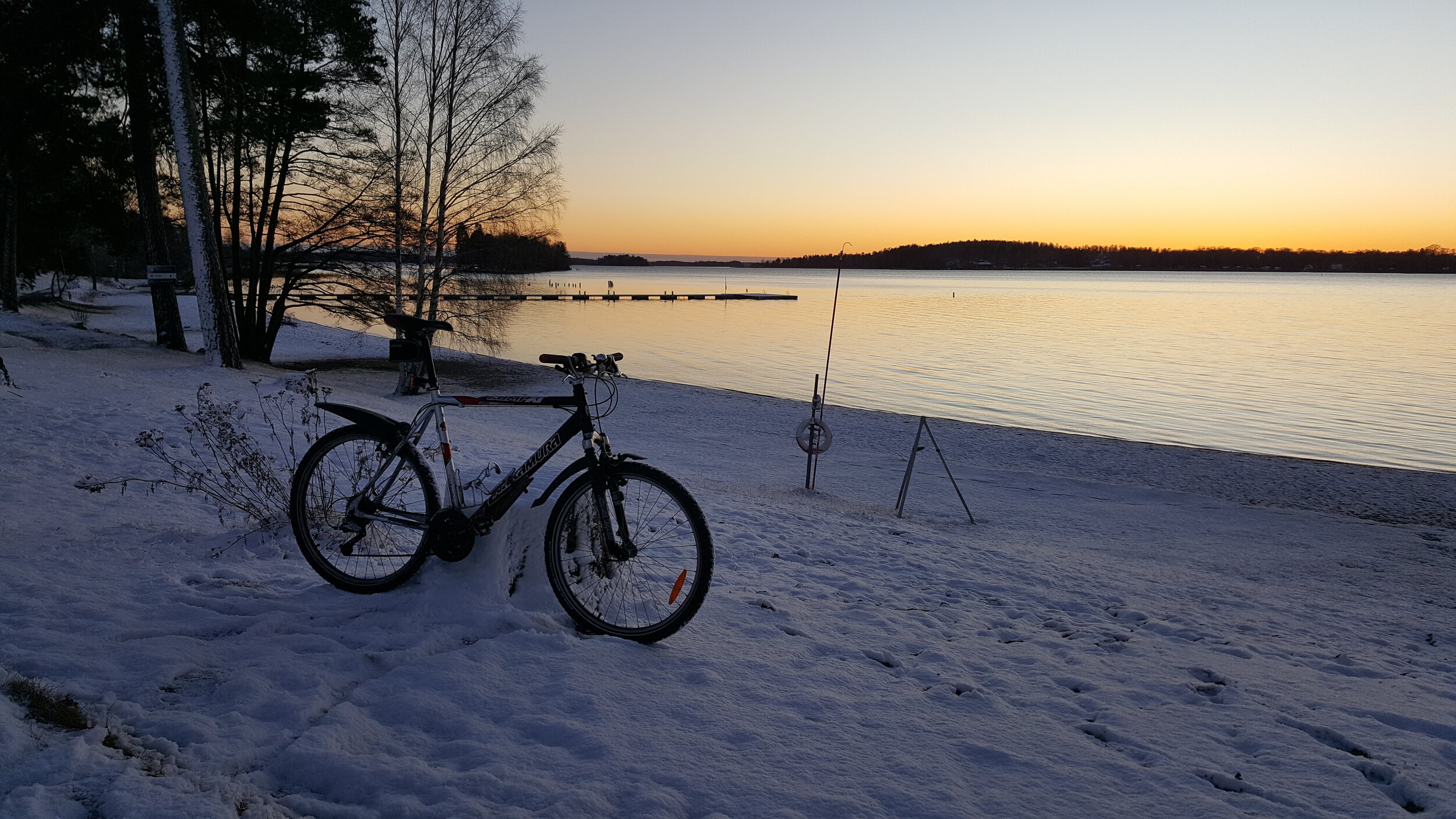 20241203_150129 - Copy.jpg