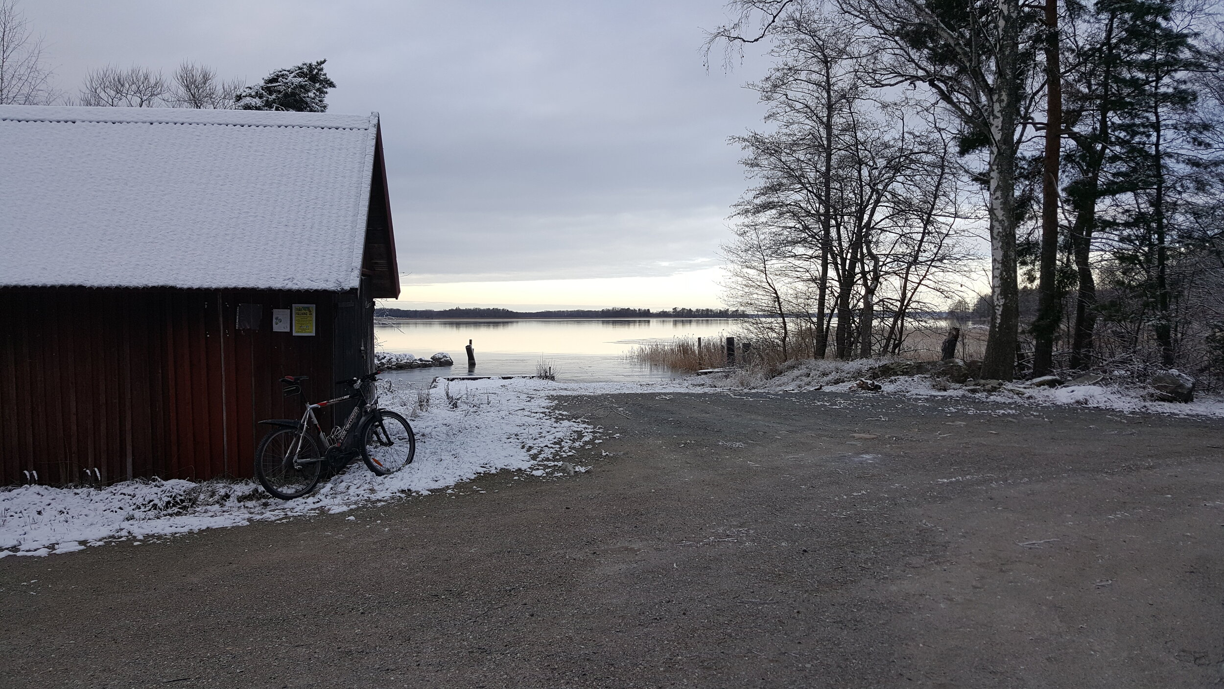 20241205_110005 - Copy.jpg