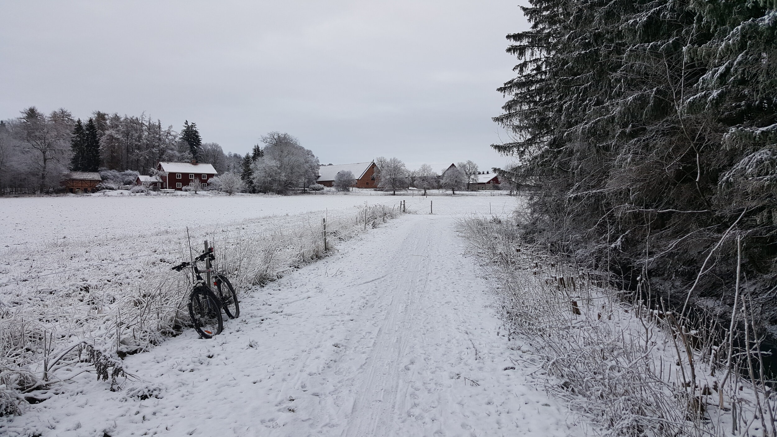 20241205_112524 - Copy.jpg